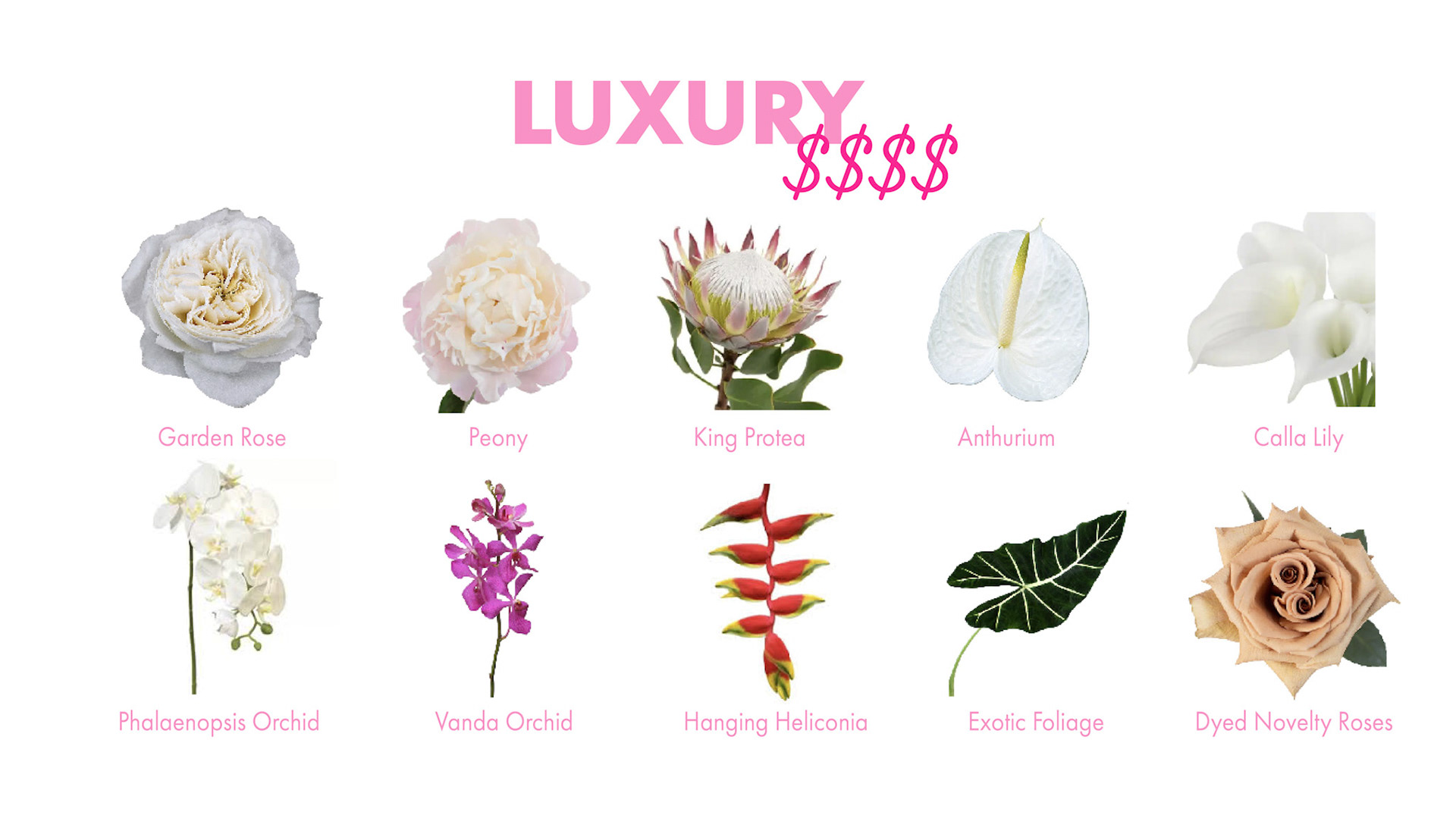 PinkPeonyPricingGuide