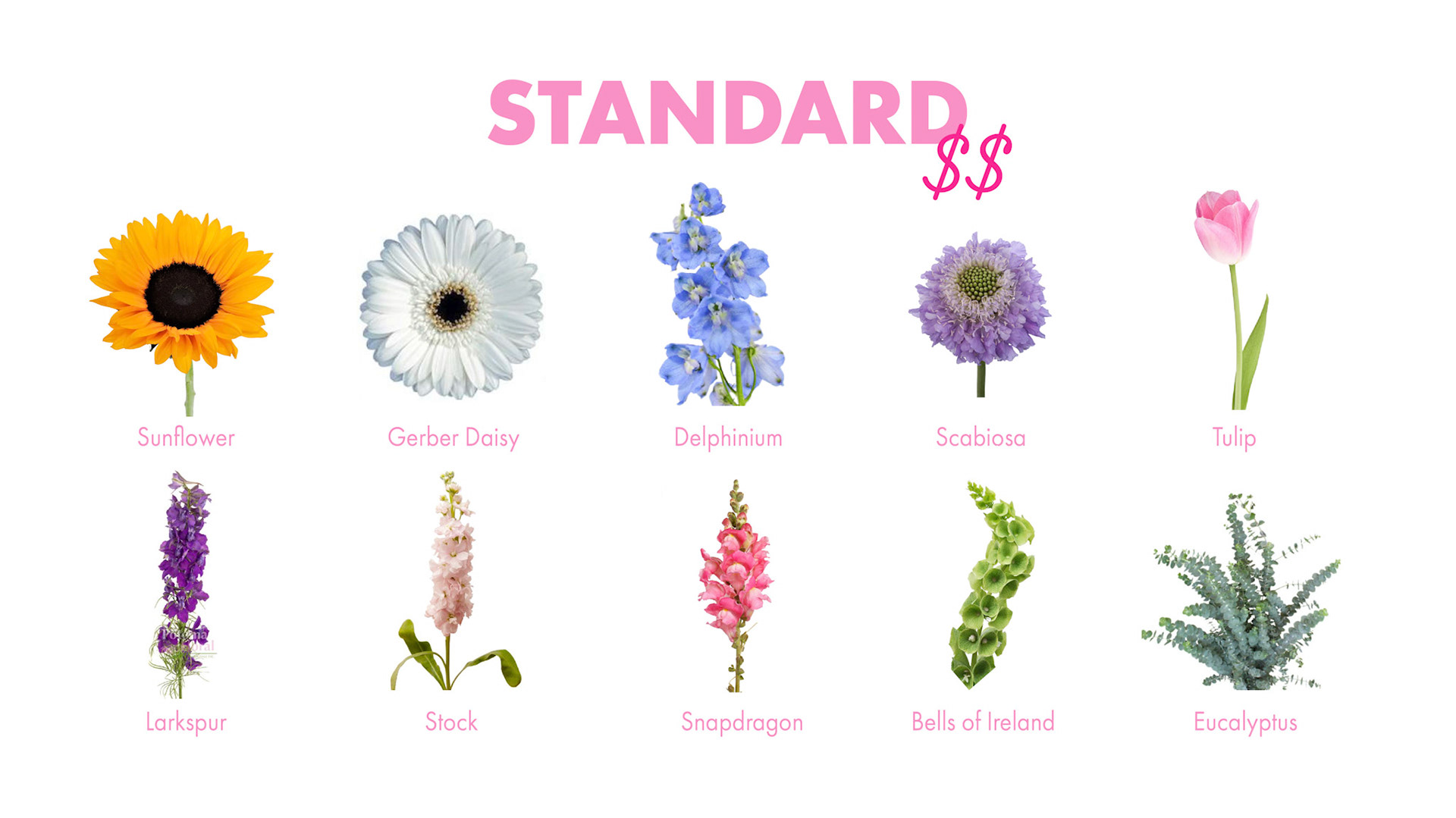 PinkPeonyPricingGuide