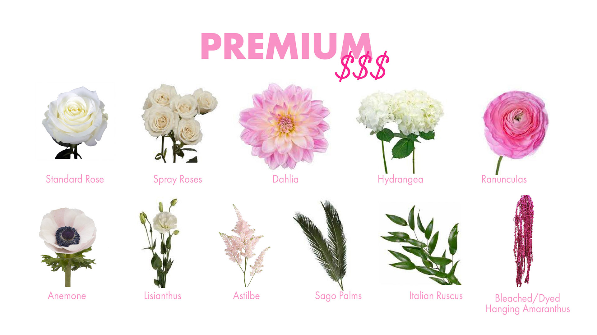 PinkPeonyPricingGuide