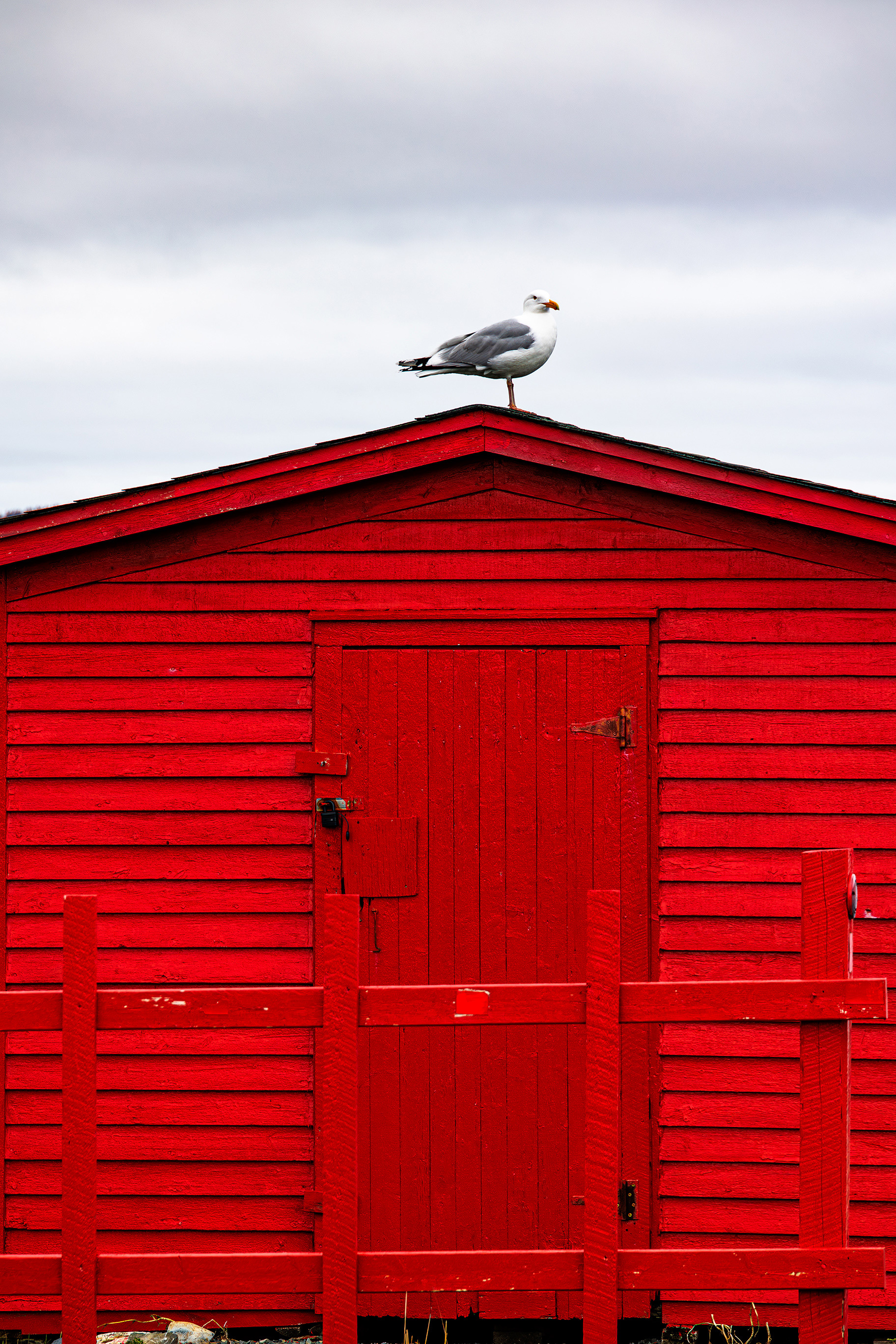 Bonavista
