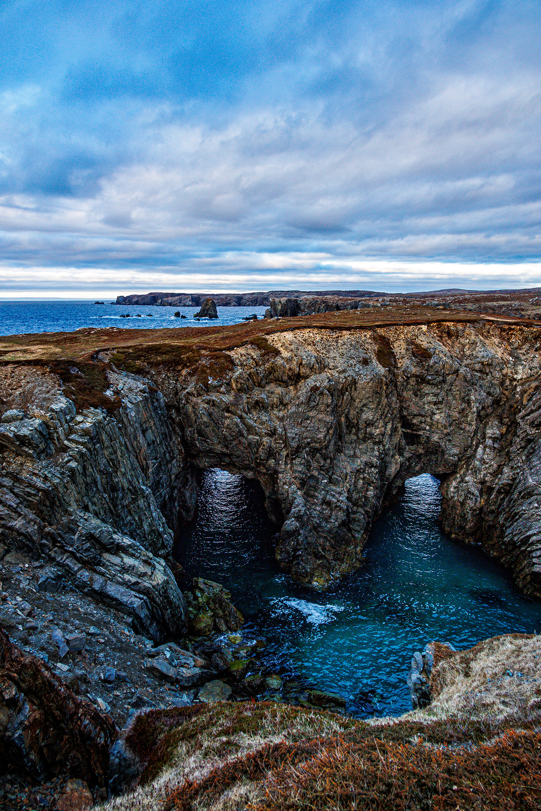 Bonavista
