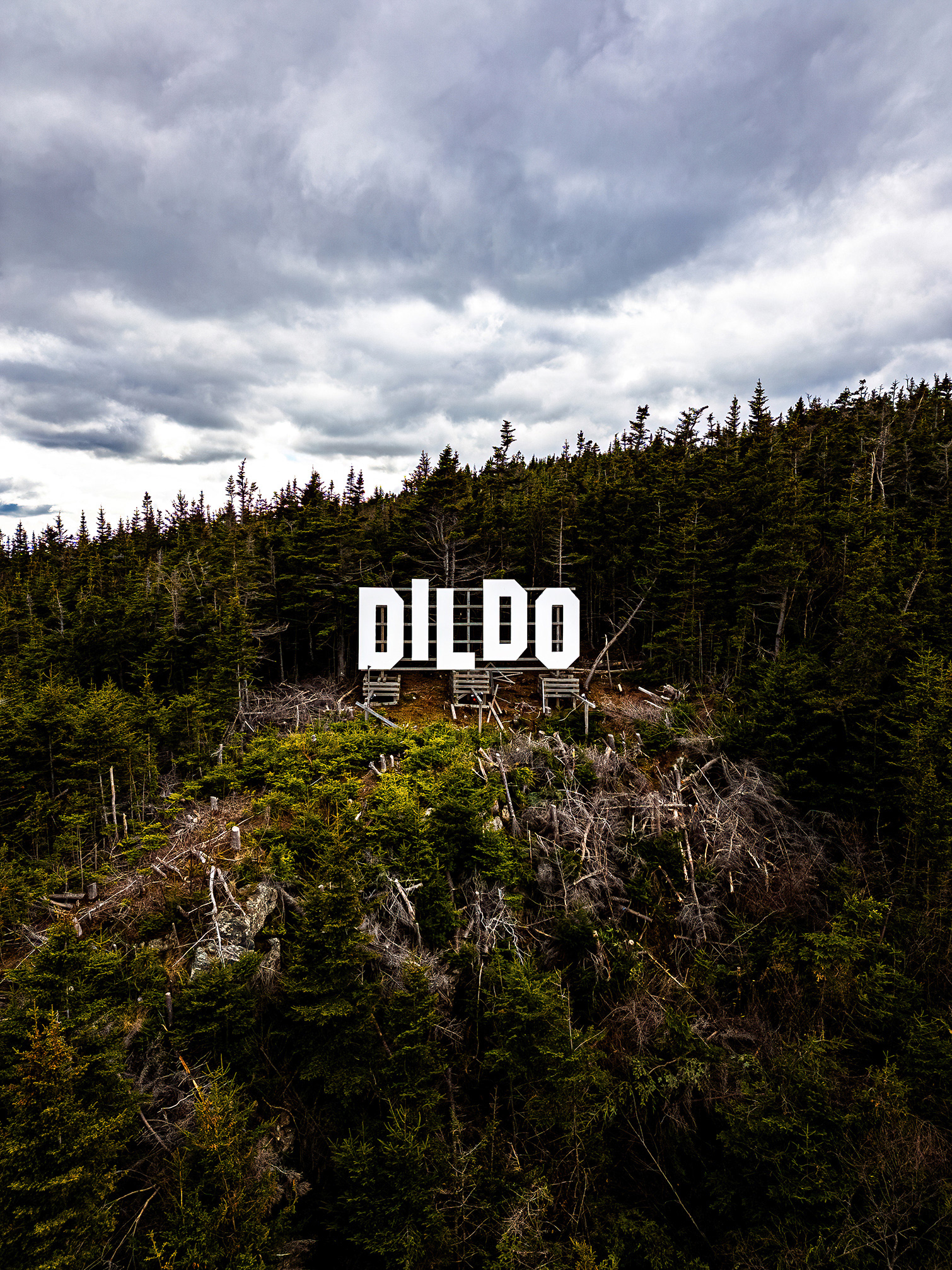 Dildo
