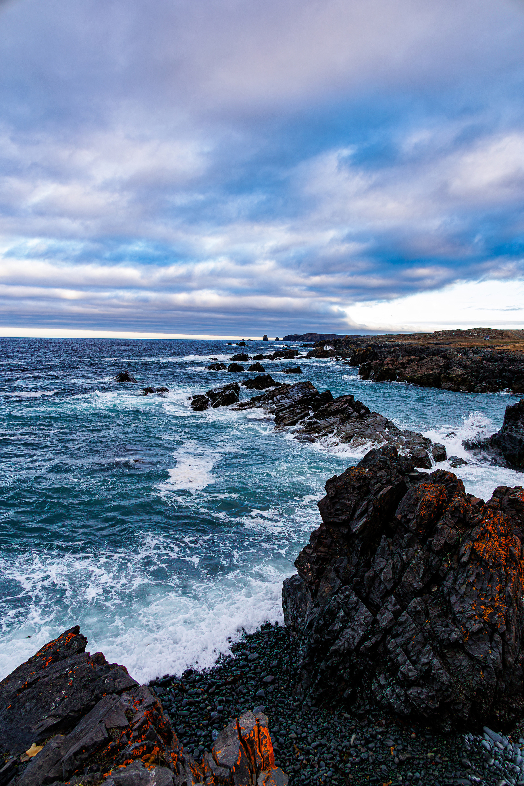 Bonavista