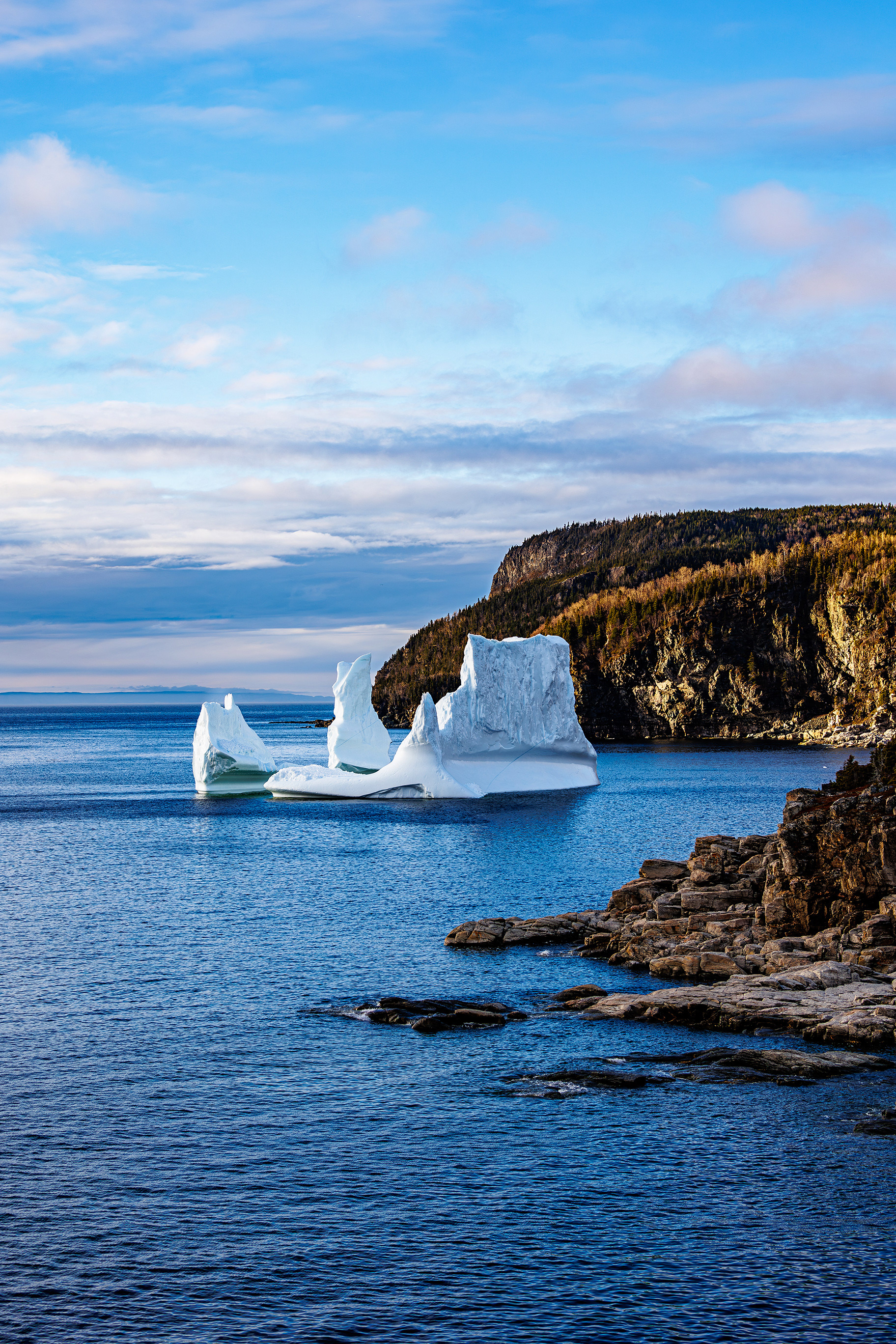 Iceberg à Brent's Cove