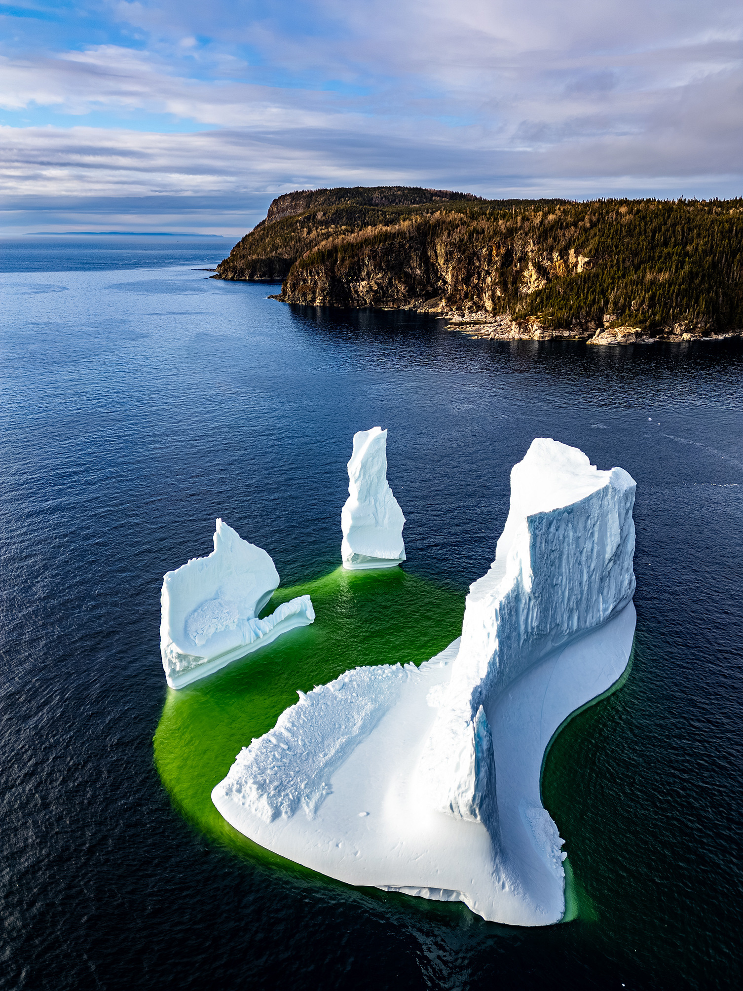 Iceberg à Brent's Cove