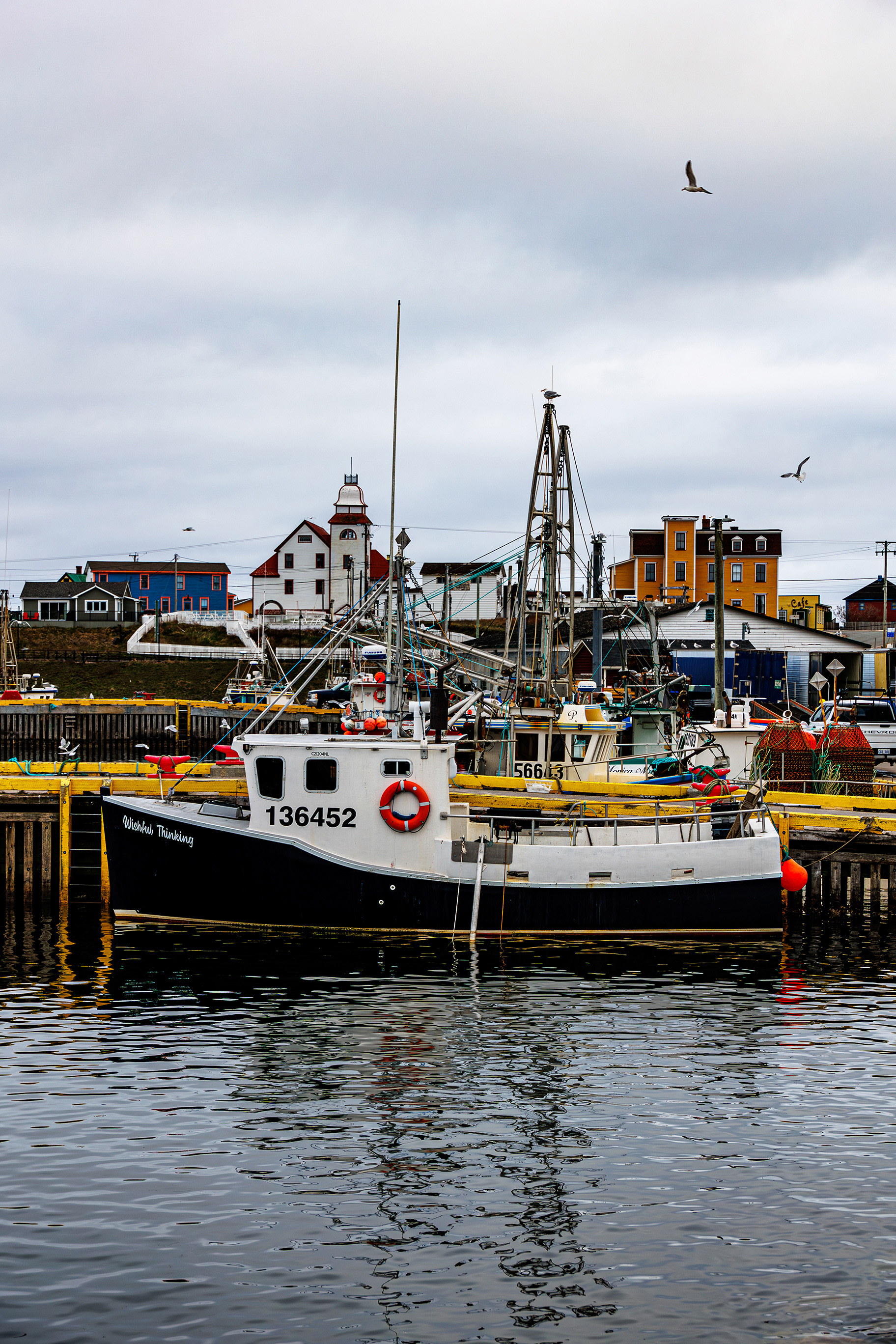 Bonavista