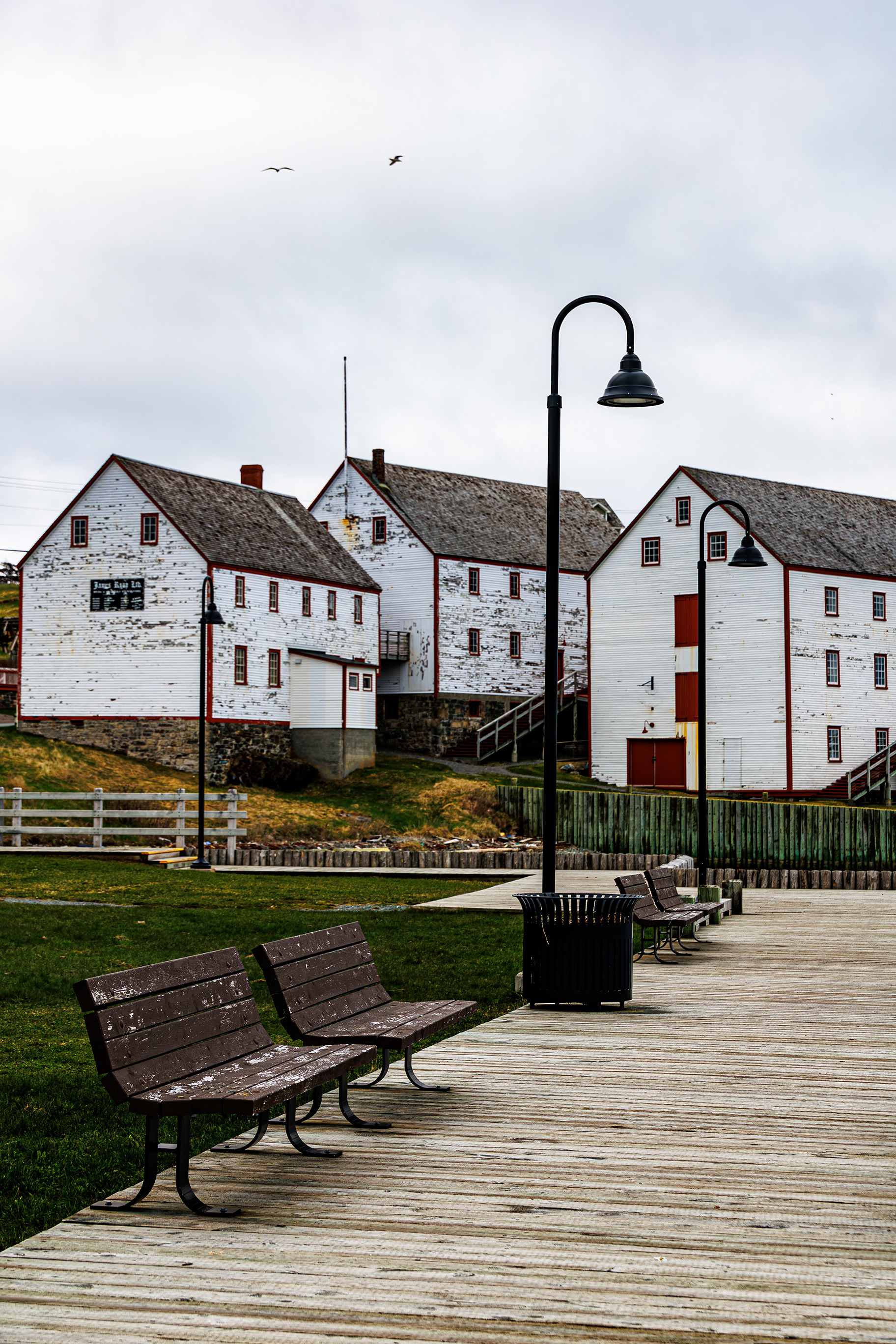 Bonavista