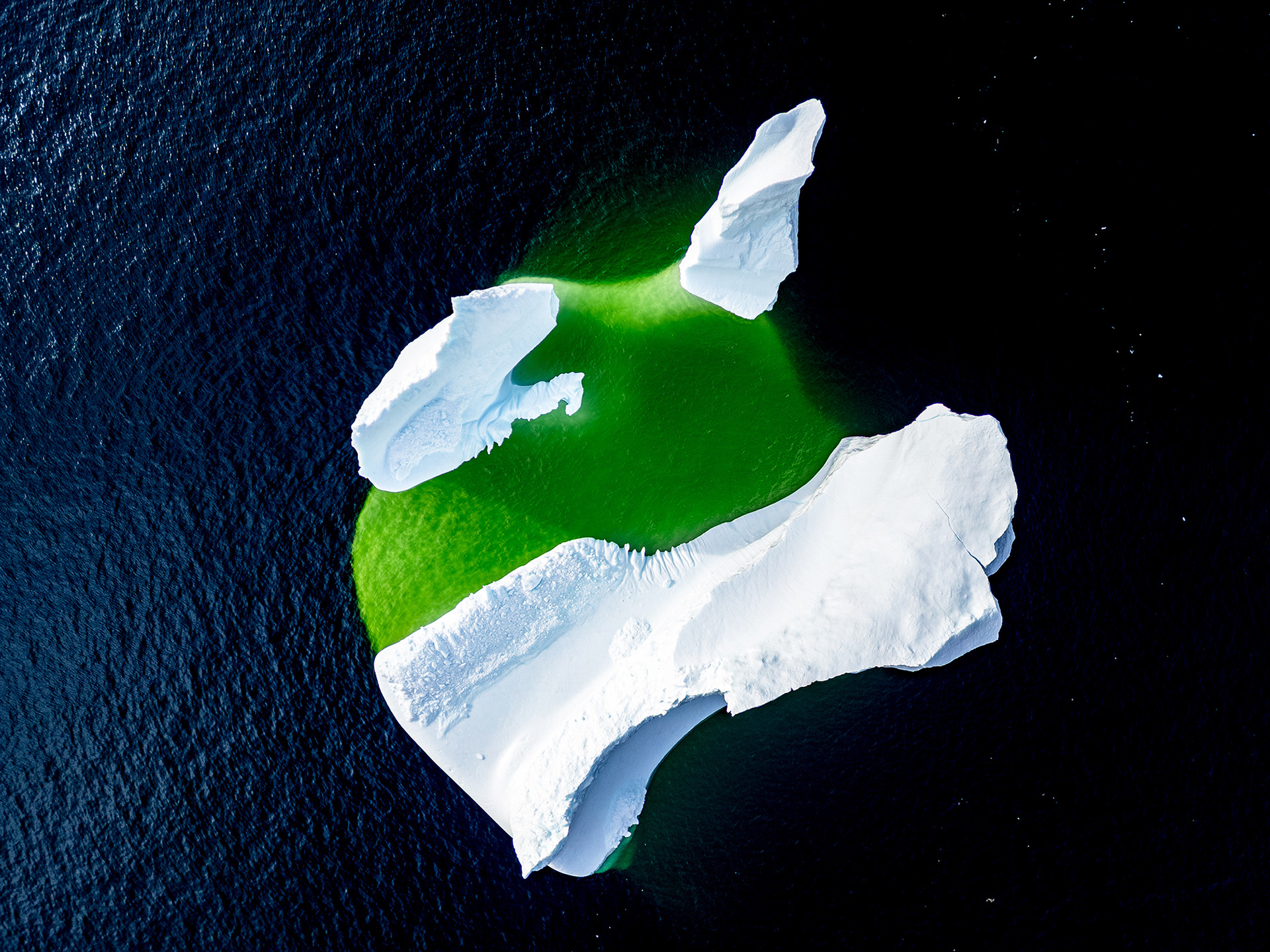 Iceberg à Brent's Cove