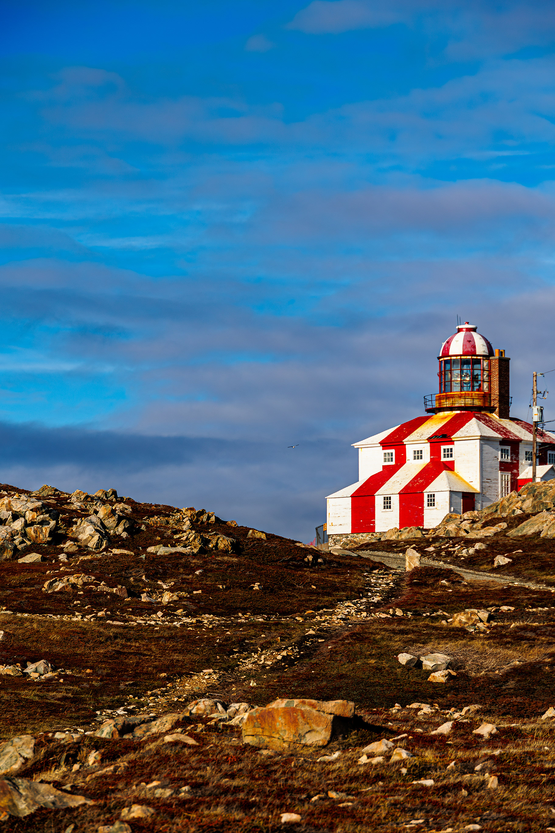 Bonavista