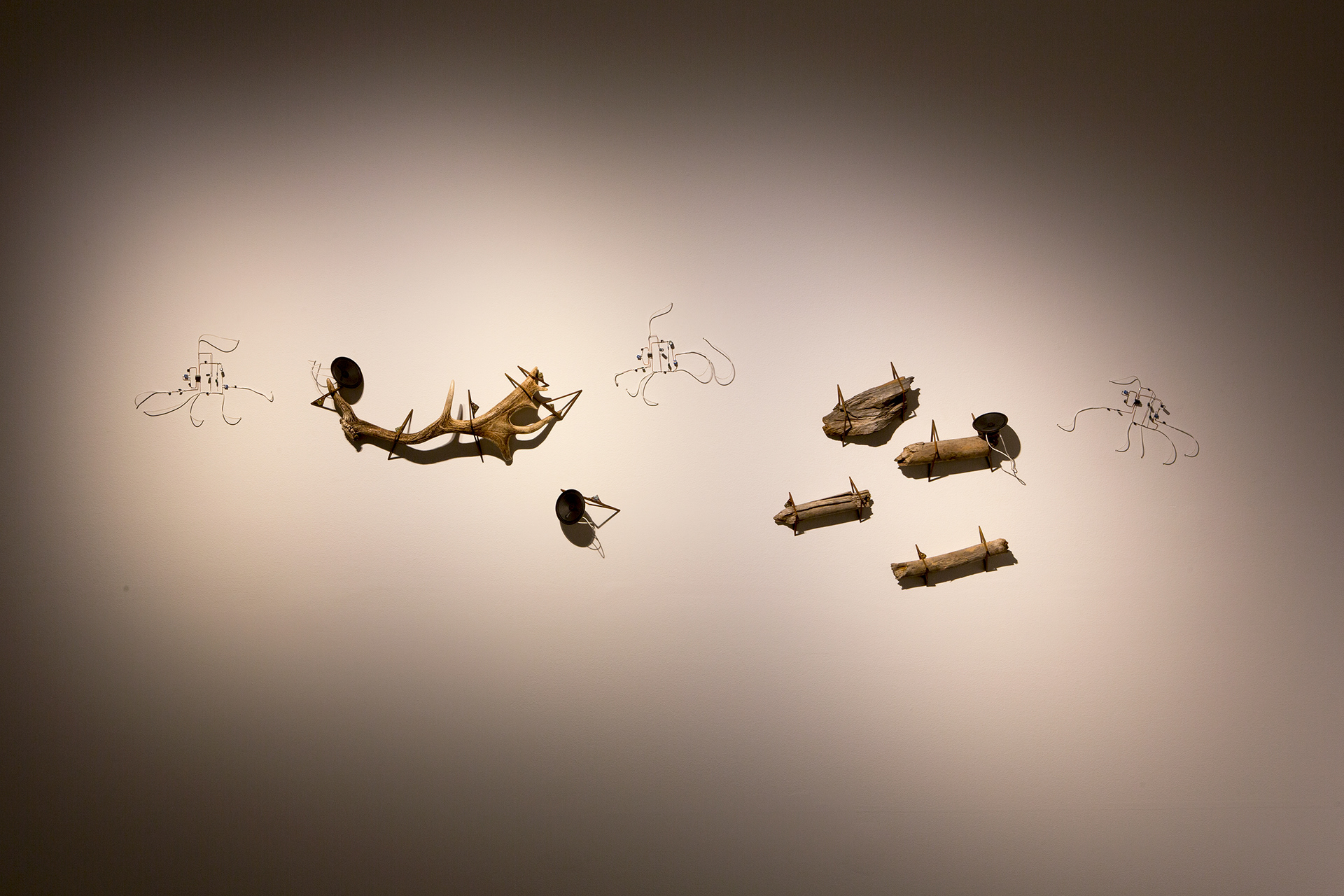 Installation detail, 'Millionth Acre'. 2015. Found radiata pine fragments from commercial logging. Collected from Millionth Acre, Hampton State Forest. Custom electronics playing back field recordings from site.  Steel, antler, pine, electronics.  Dimensions variable.