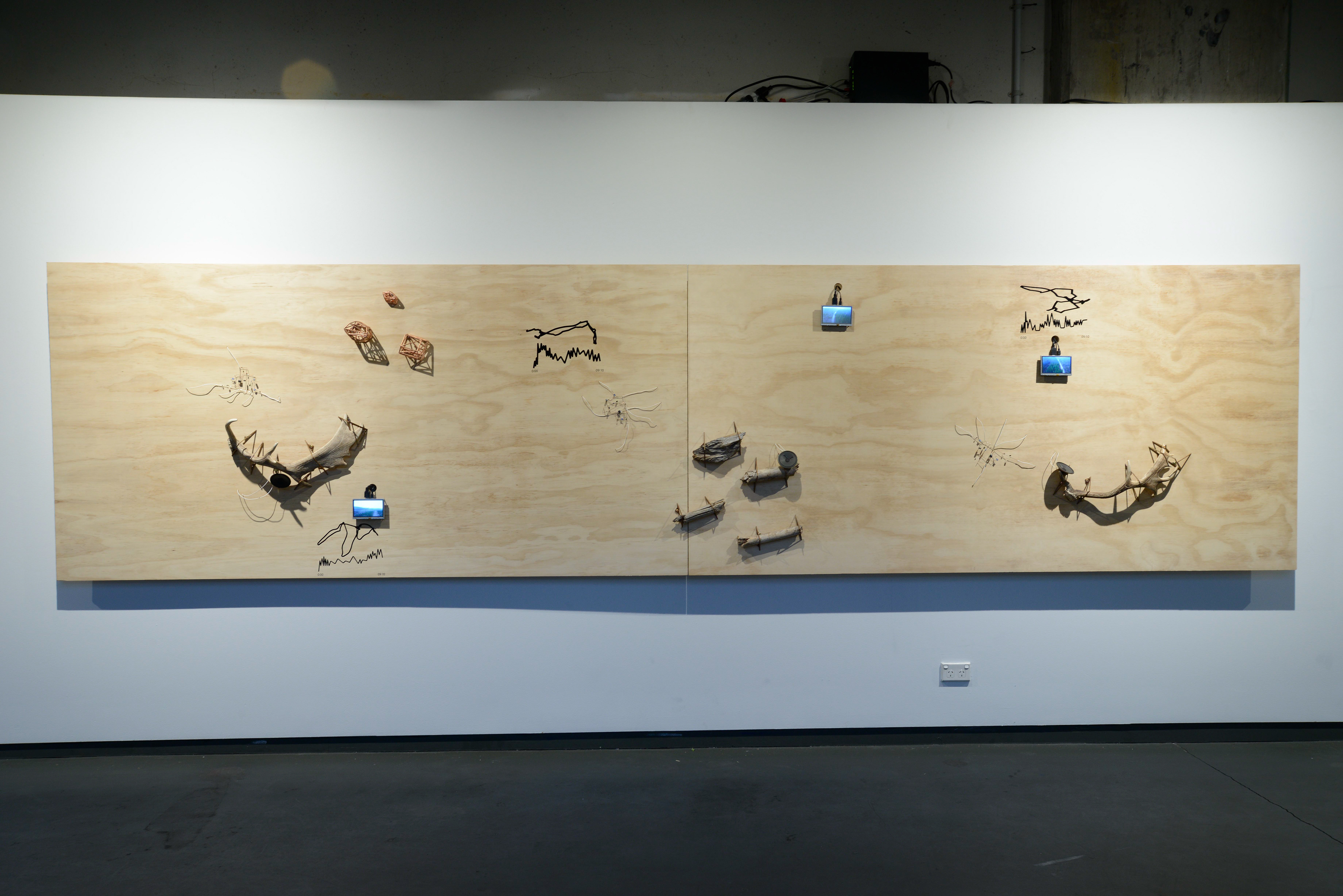 'Millionth Acre Archive' (installation view). Radiata pine, bracing plywood, found antler sheddings, cast 3D prints, custom electronics and field recordings. 120 x 480 cm