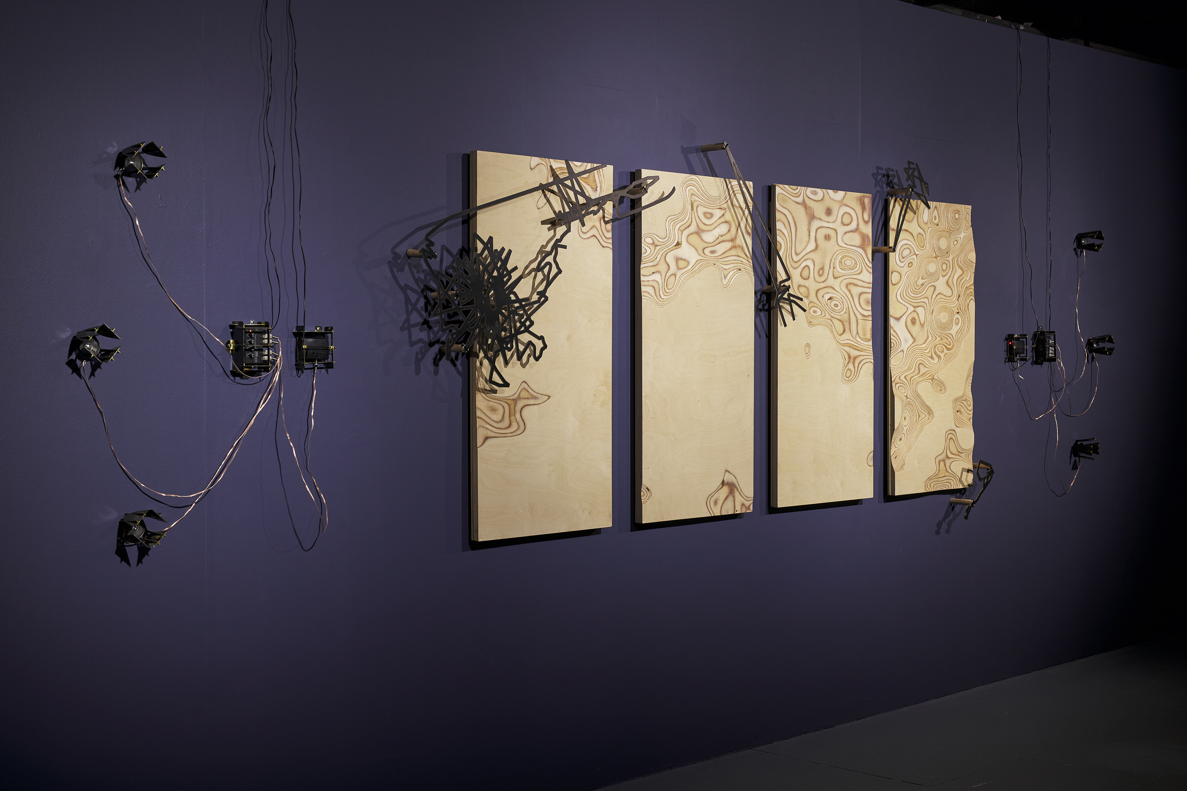 'Radiata Studies' (installation view). Radiata pine, laser-cut steel, electronics. Plimsoll Gallery, Hobart, 2021. Dimensions variable.