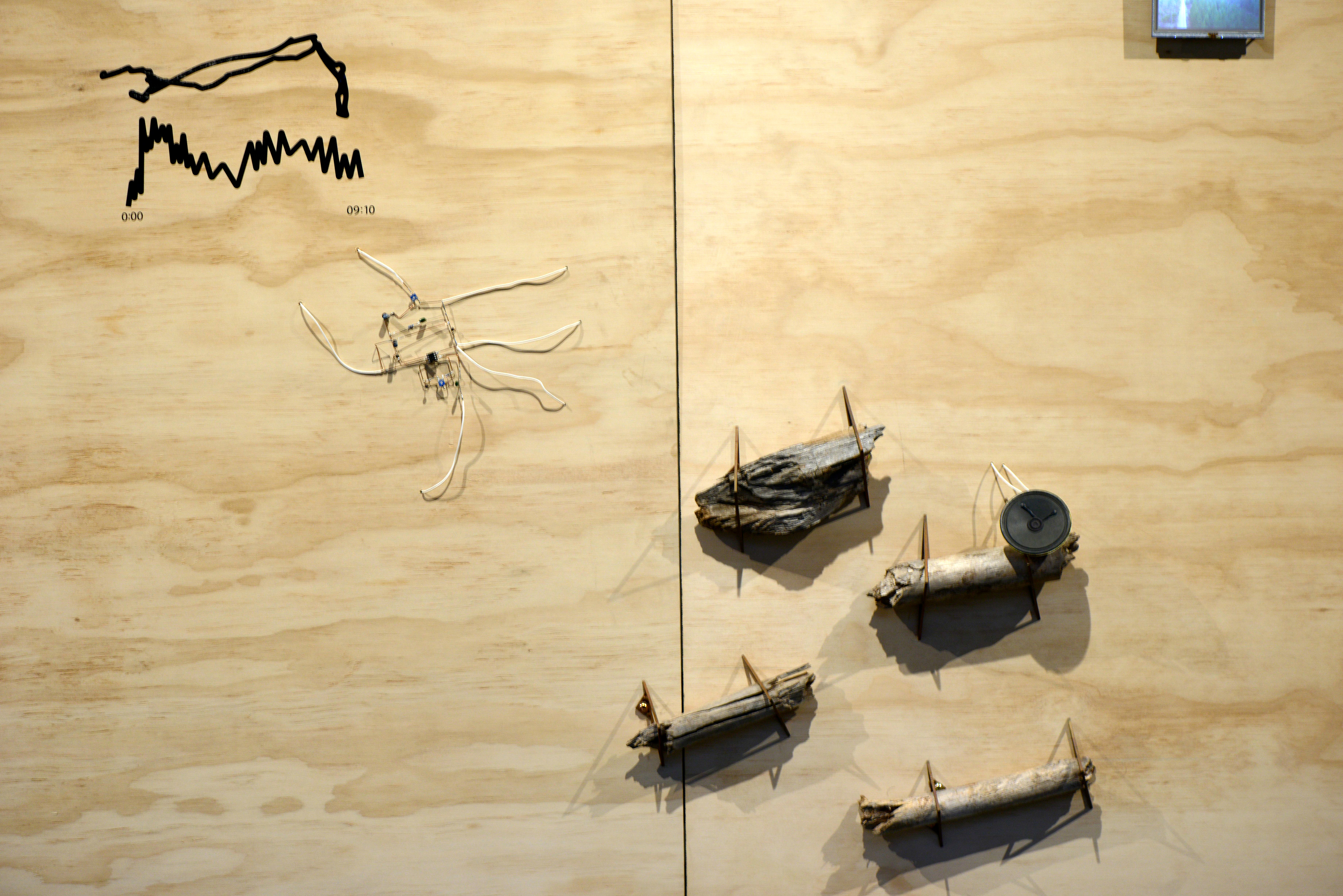 'Millionth Acre Archive' (detail). Bracing plywood, radiata pine logging fragments, custom electronics and field recordings. dimensions variable. 2017.