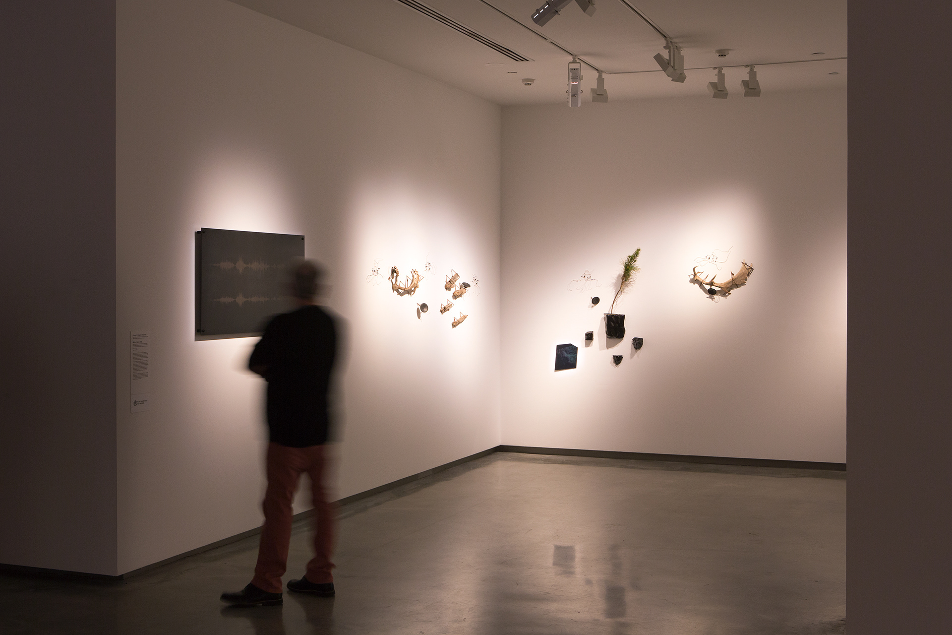 Installation view, 'Millionth Acre'. 2015. As part of 'Primavera; Young Australian Artists'. Museum of Contemporary Art