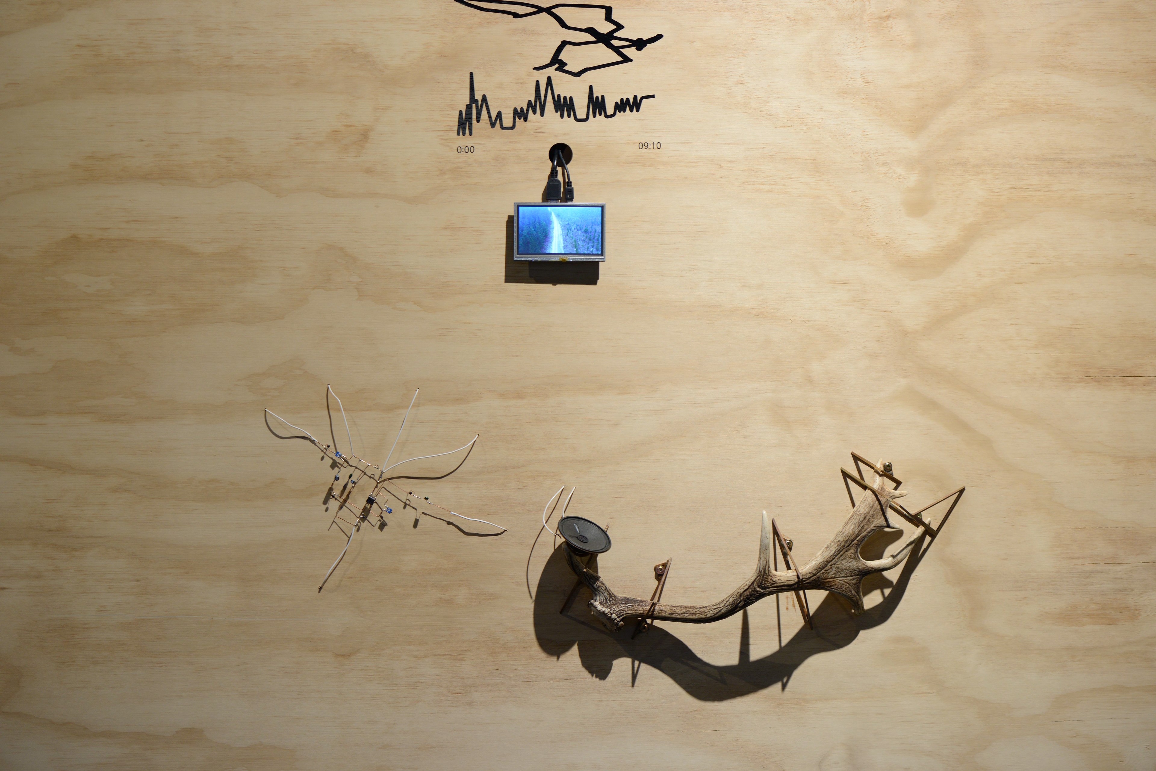'Millionth Acre Archive' (detail). Bracing plywood, found antler sheddings, custom electronics and field recordings. dimensions variable. 2017.
