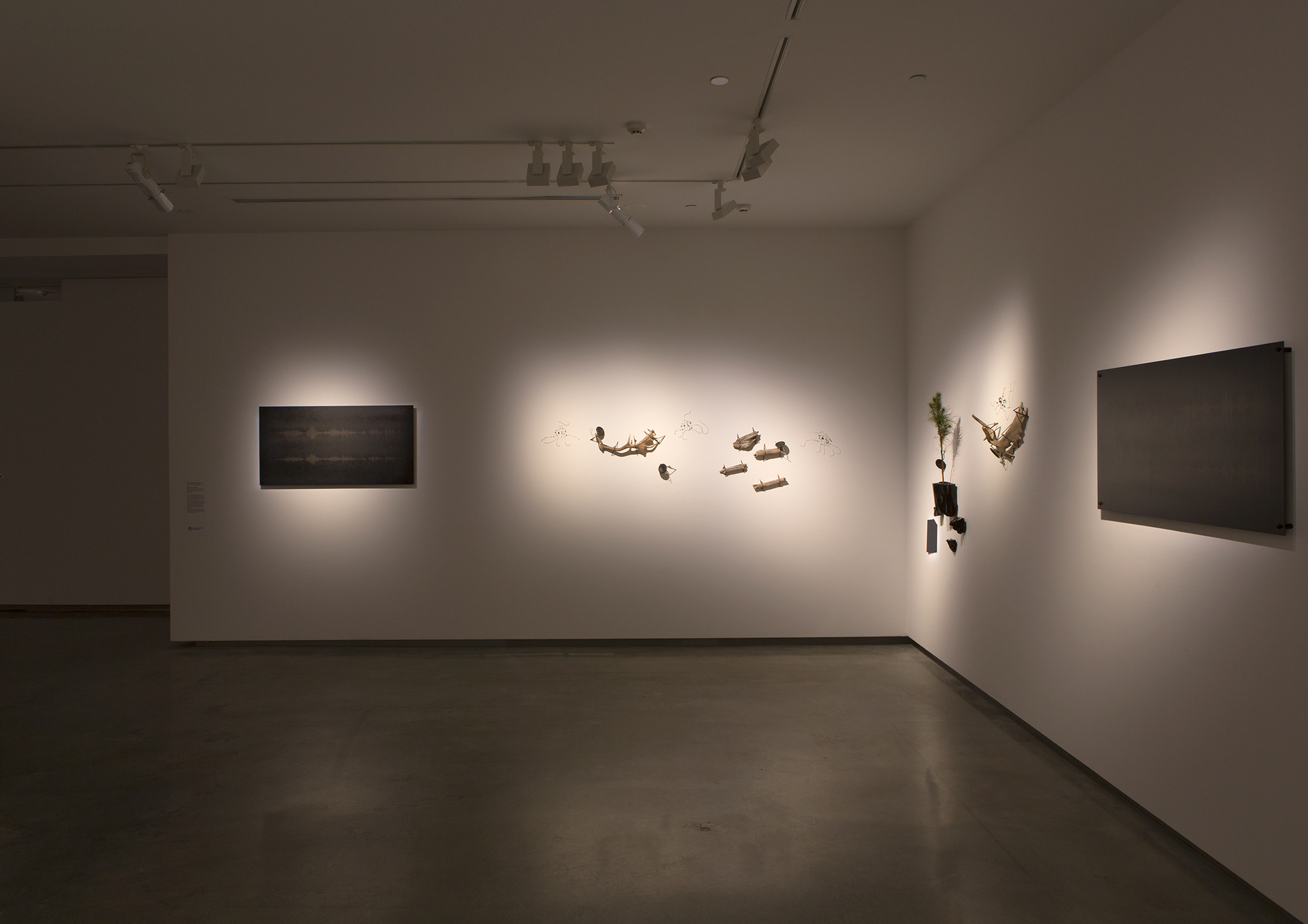 Installation view, 'Millionth Acre'. 2015. As part of 'Primavera; Young Australian Artists'. Museum of Contemporary Art