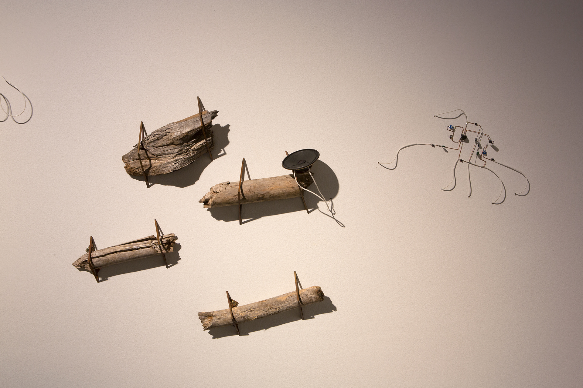 Installation detail, 'Millionth Acre'. 2015. Found radiata pine fragments from commercial logging. Collected from Millionth Acre, Hampton State Forest. Custom electronics playing back field recordings from site.  Steel, pine, electronics.  Dimensions variable.