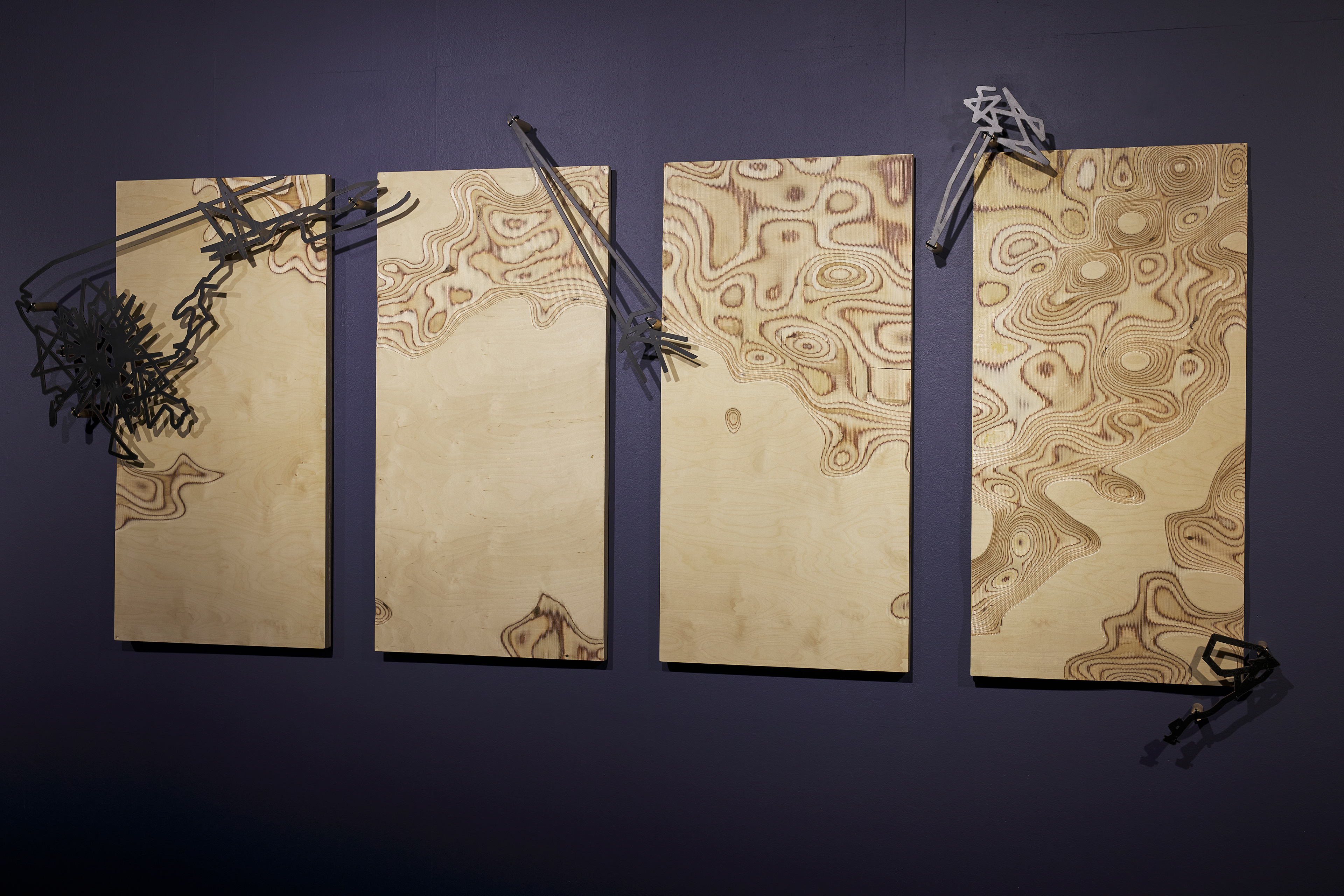 'Radiata Studies' (detail). Radiata pine, laser-cut steel. Plimsoll Gallery, Hobart, 2021. Dimensions variable.
