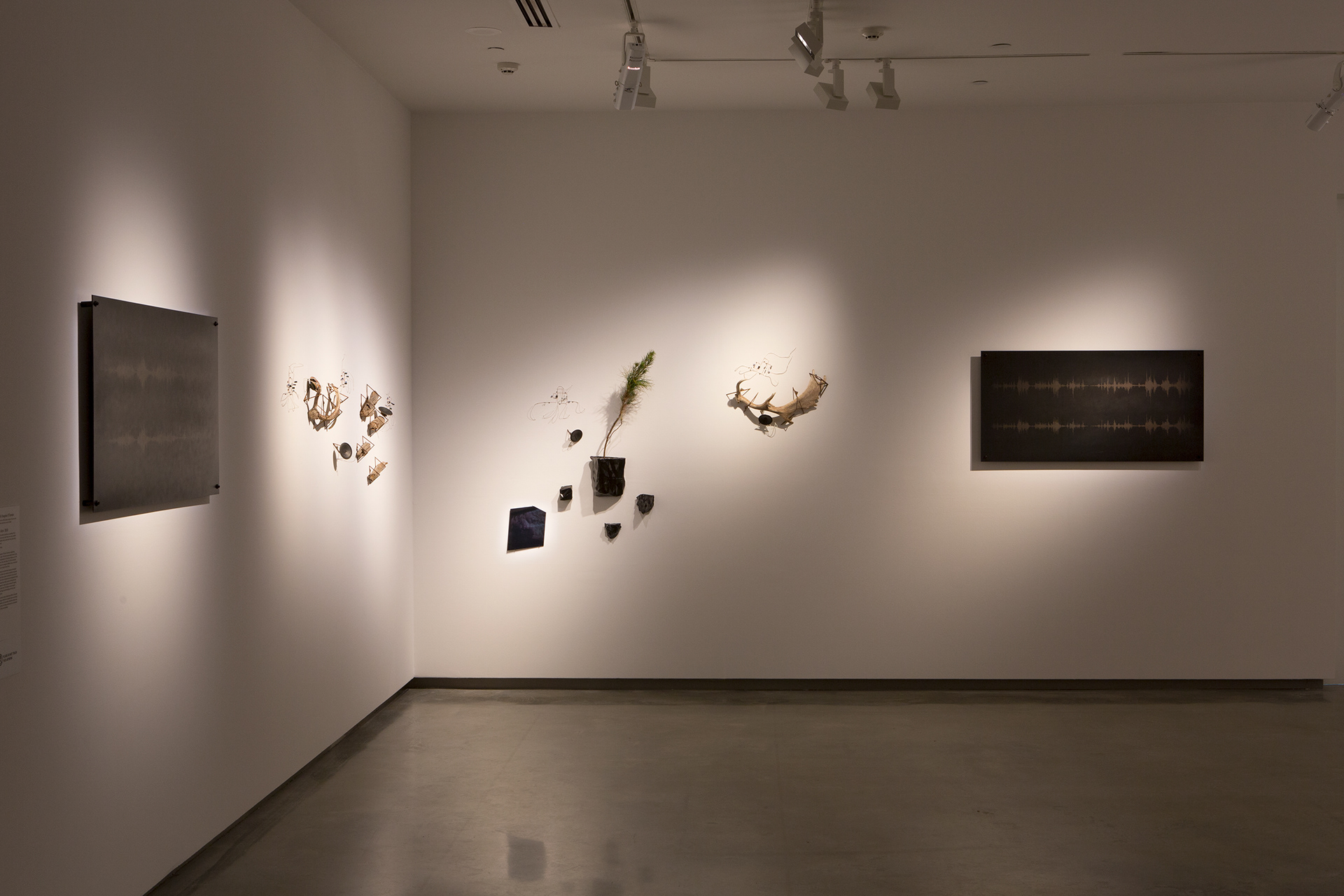 Installation view, 'Millionth Acre'. 2015. As part of 'Primavera; Young Australian Artists'. Museum of Contemporary Art