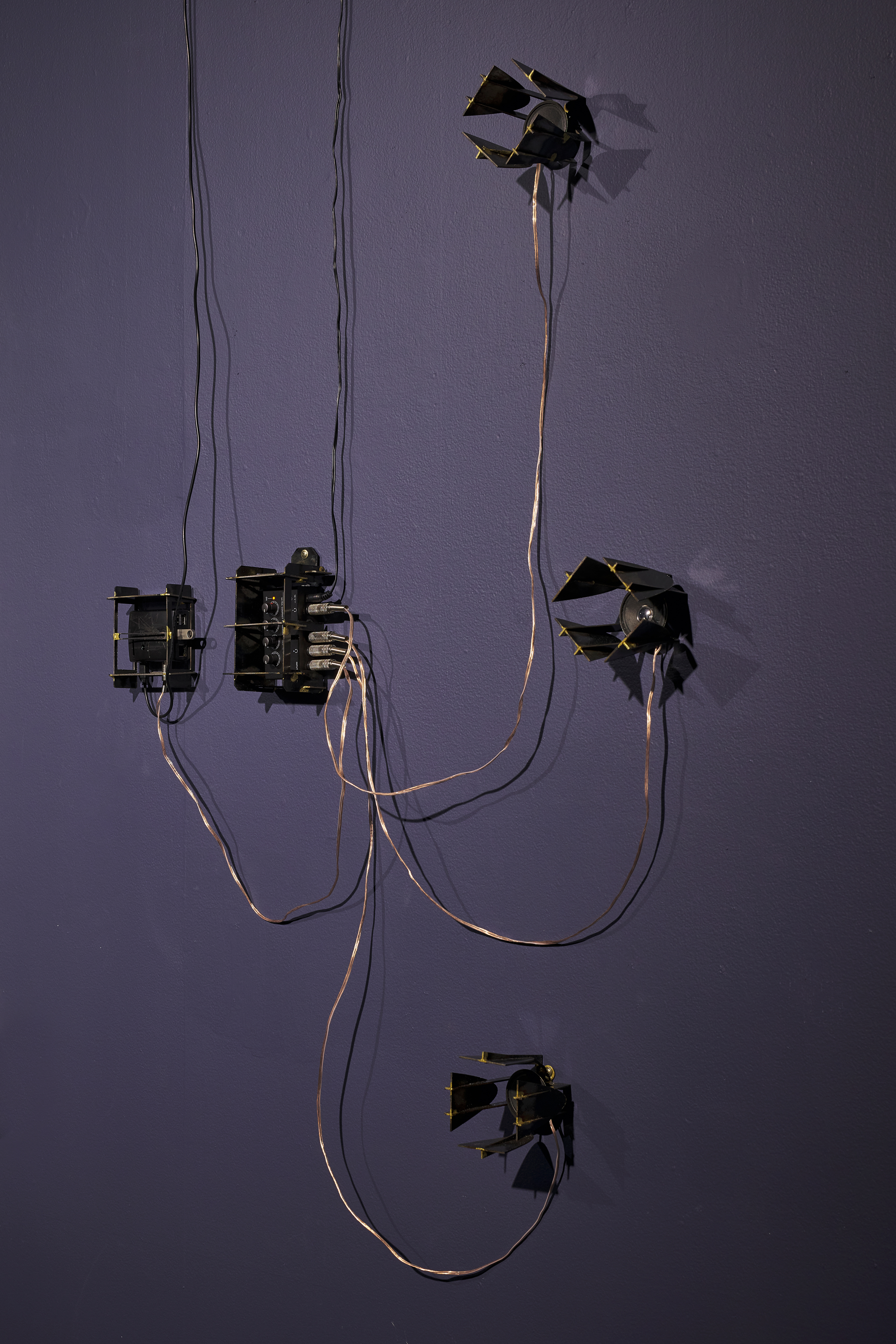 'Radiata Studies' (detail). Custom electronics, laser-cut steel. Plimsoll Gallery, Hobart, 2021.Dimensions variable.