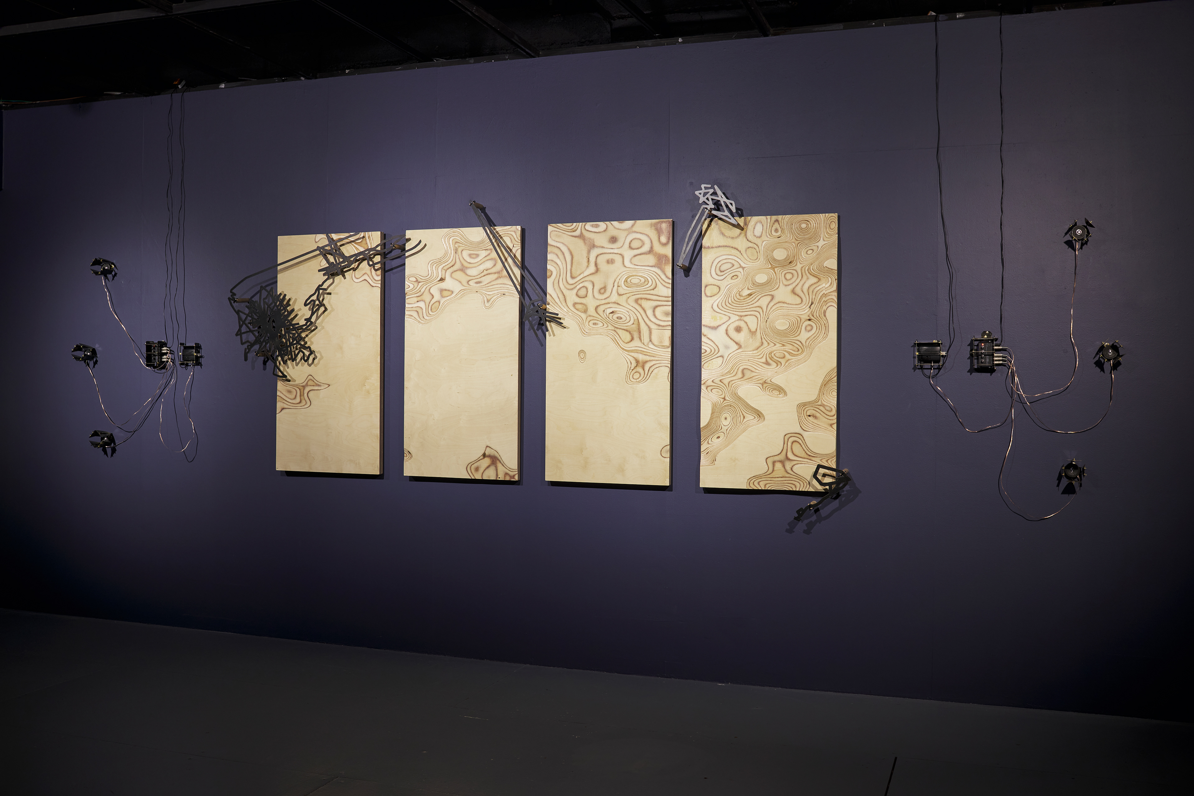 'Radiata Studies' (installation view). Radiata pine, laser-cut steel, electronics. Plimsoll Gallery, Hobart, 2021. Dimensions variable.