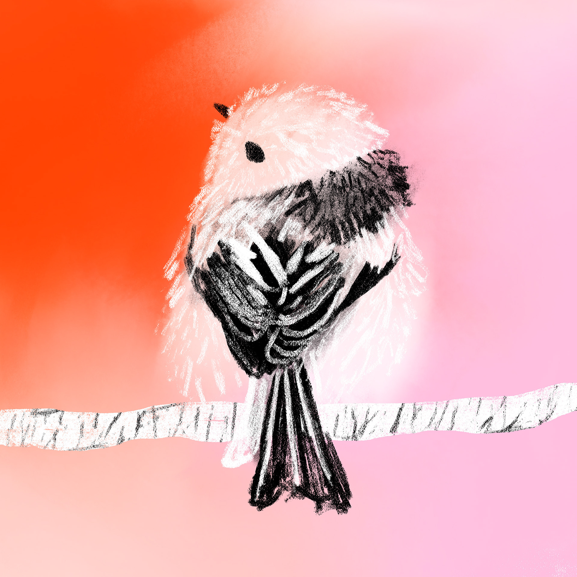 Fluffy Bird