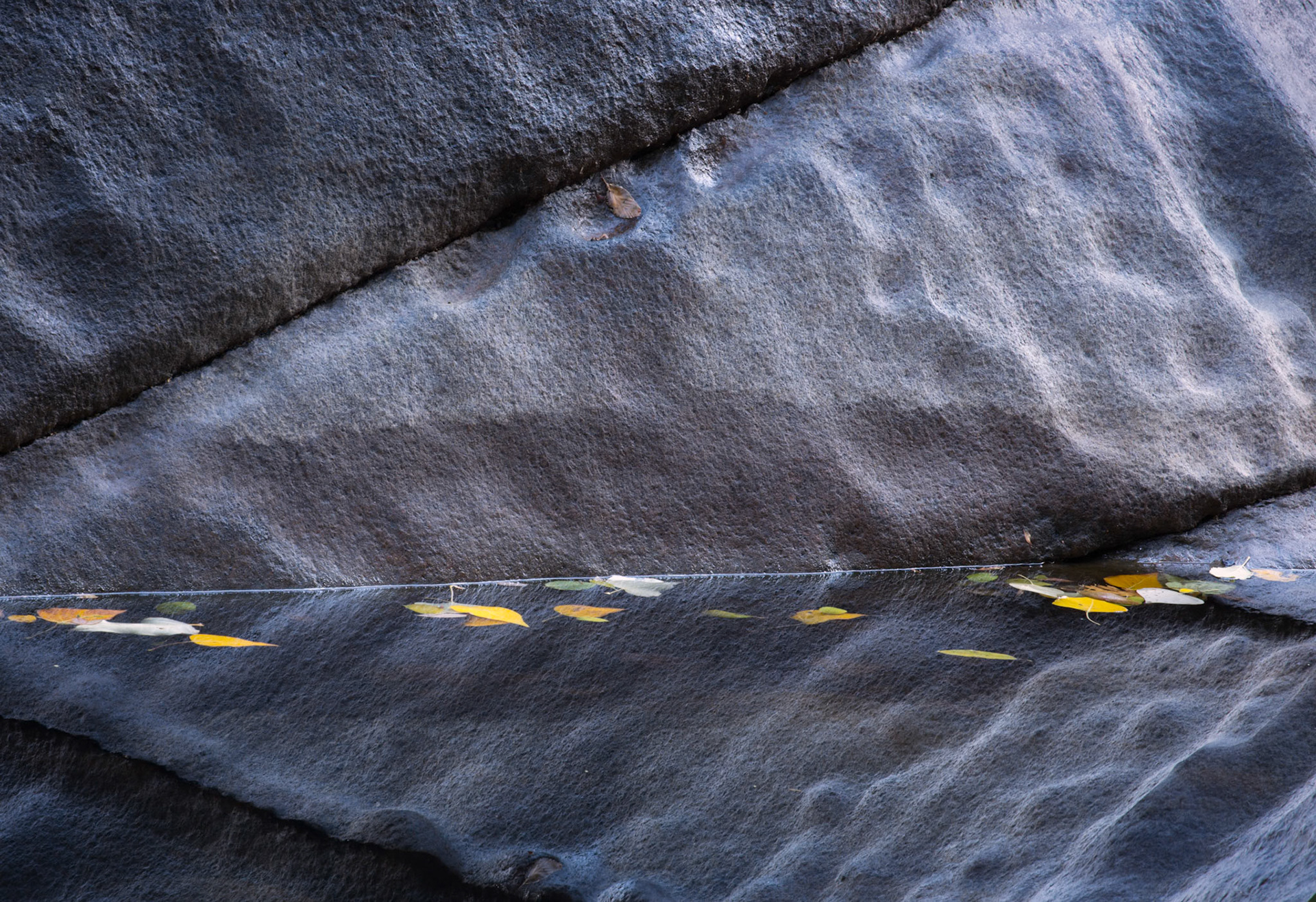Rough granite rock and yellow leafs, late afternoon in the late autumn.