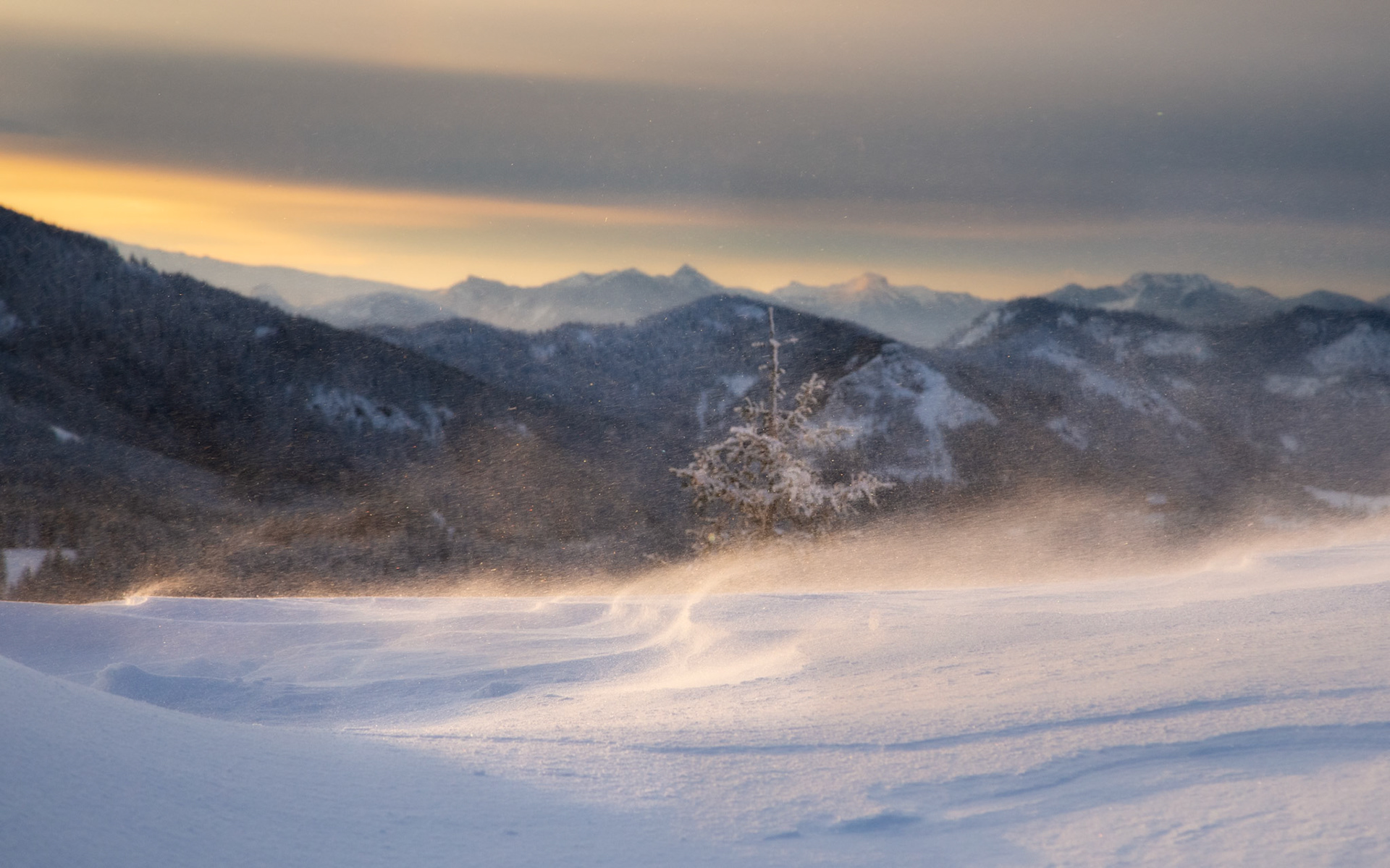 Biting freeze, Mt Rainier