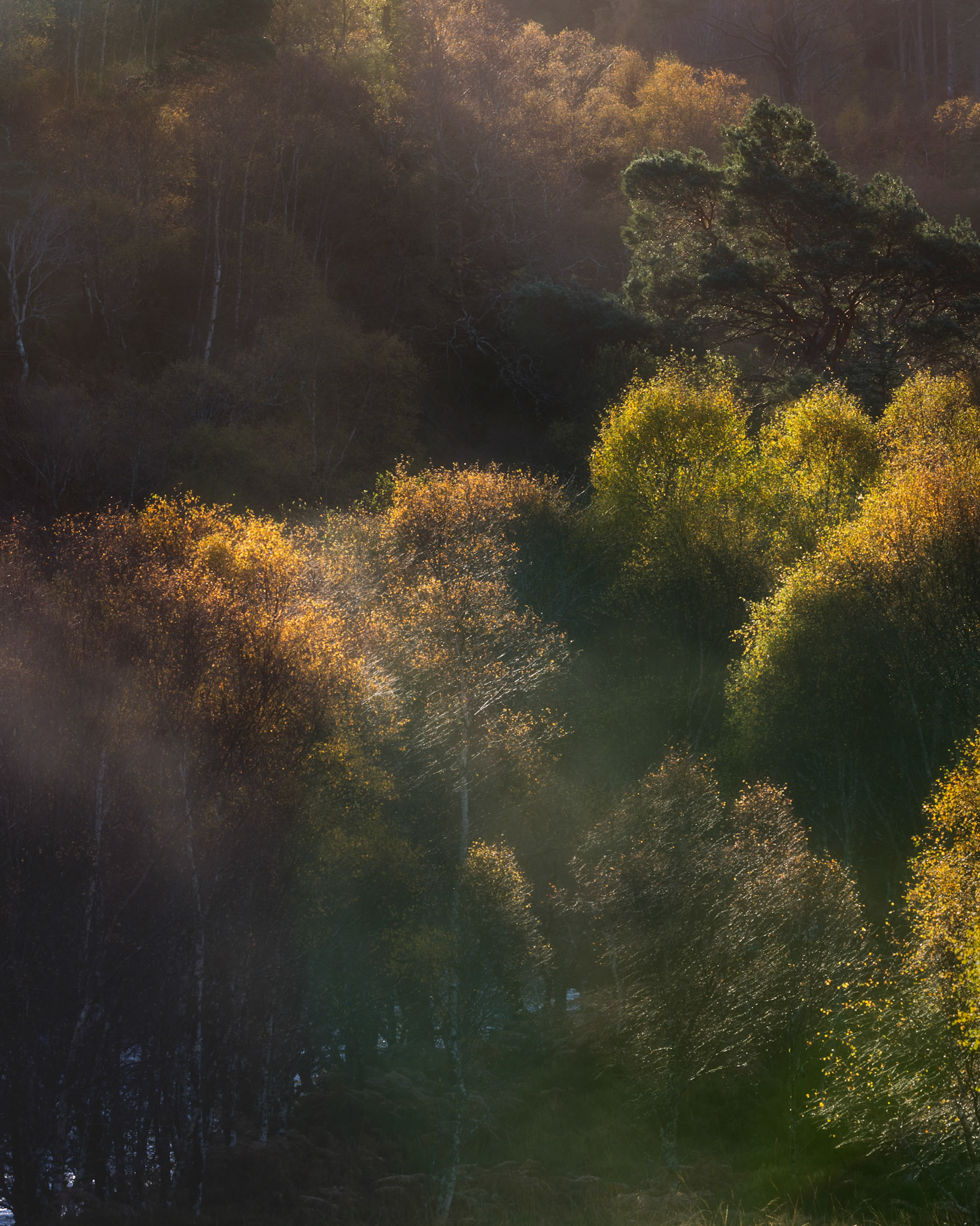 Ligatures with light