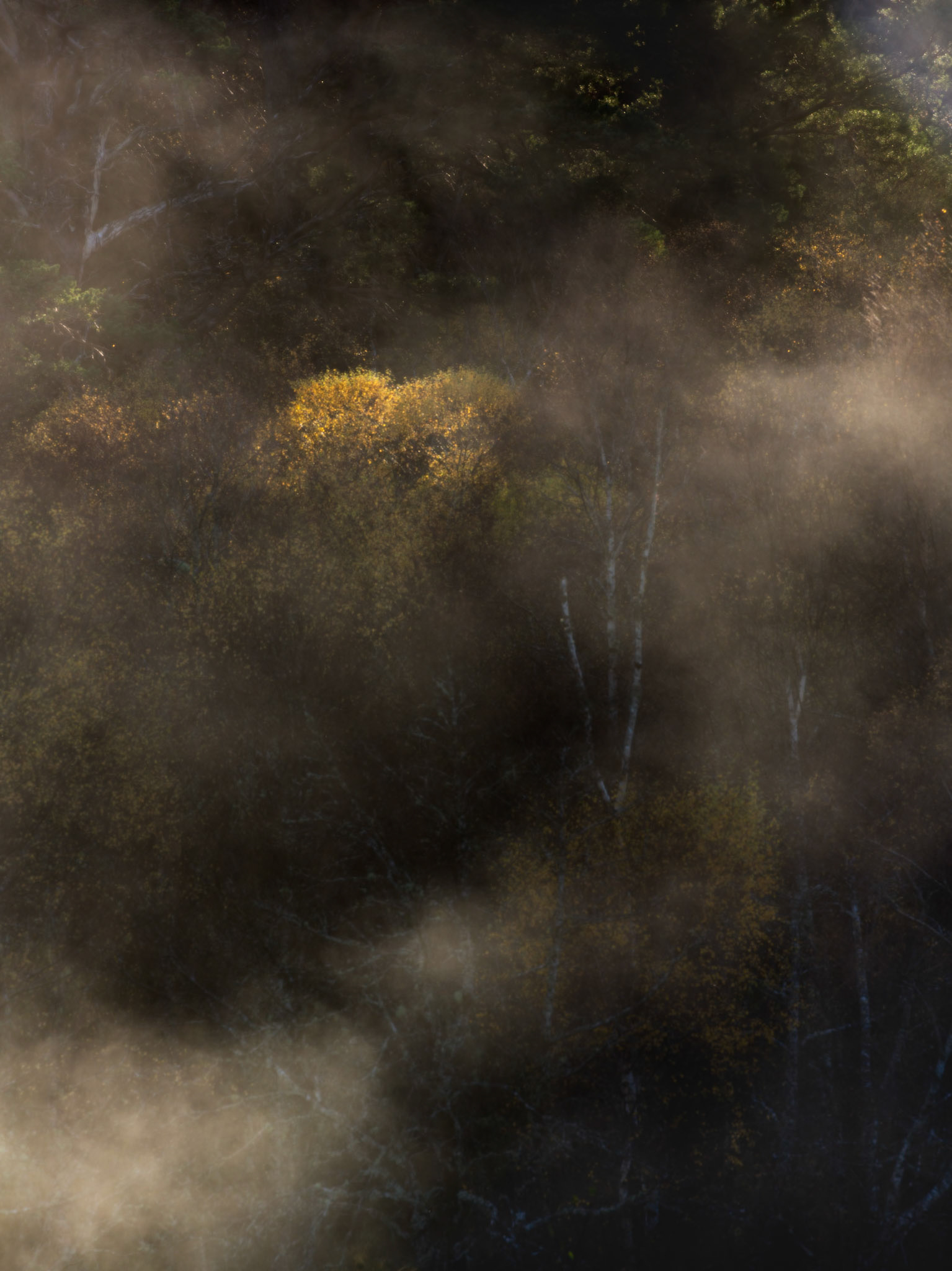 Scotland - Autumn moods
