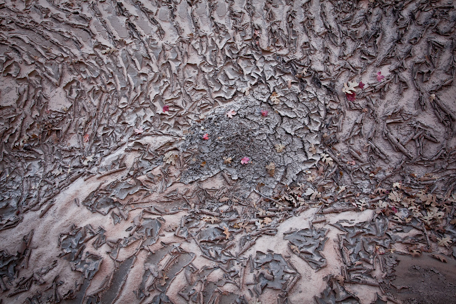 Farewell, summer sun