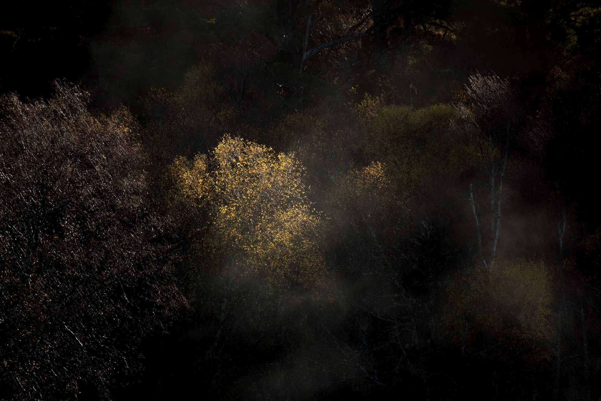 Scotland - Autumn moods