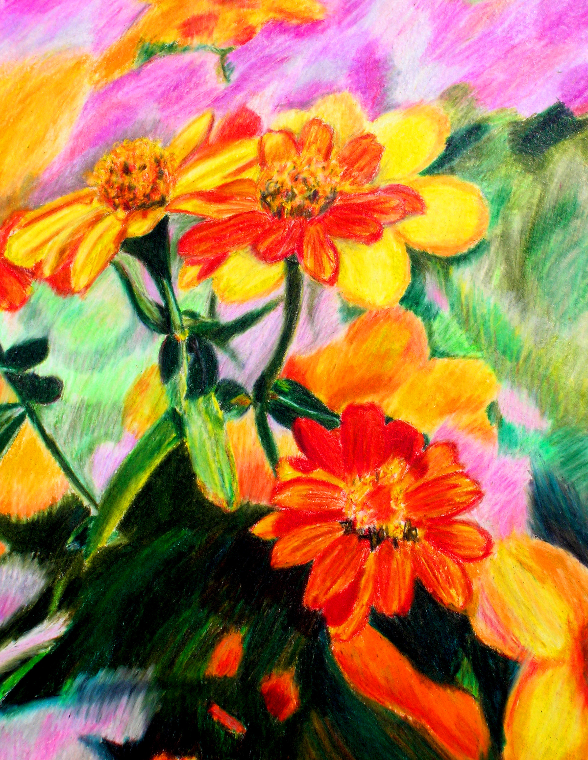 Colored Pencil