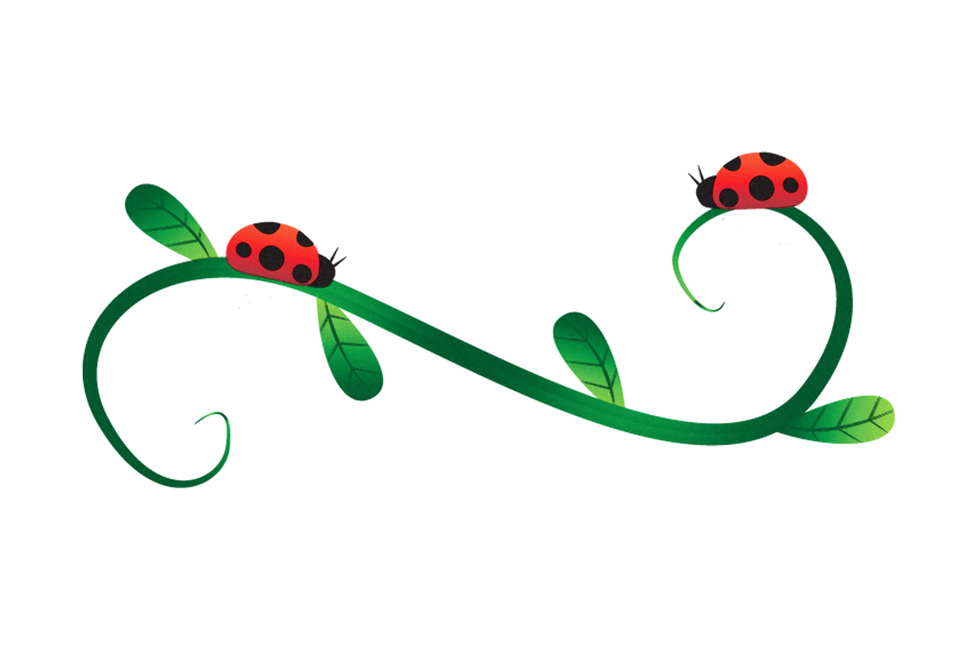 Digital Illustration