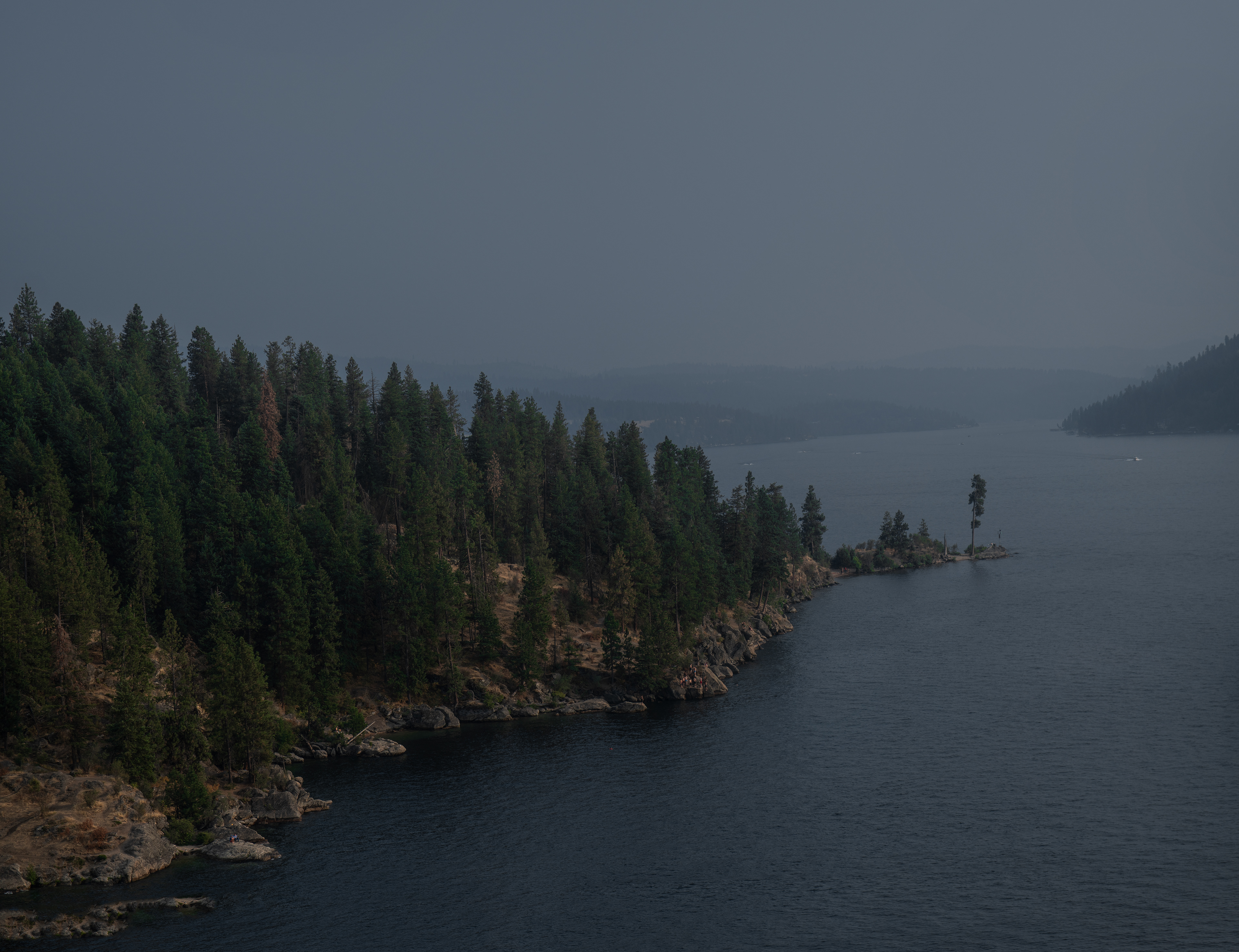 Coeur d'Alane