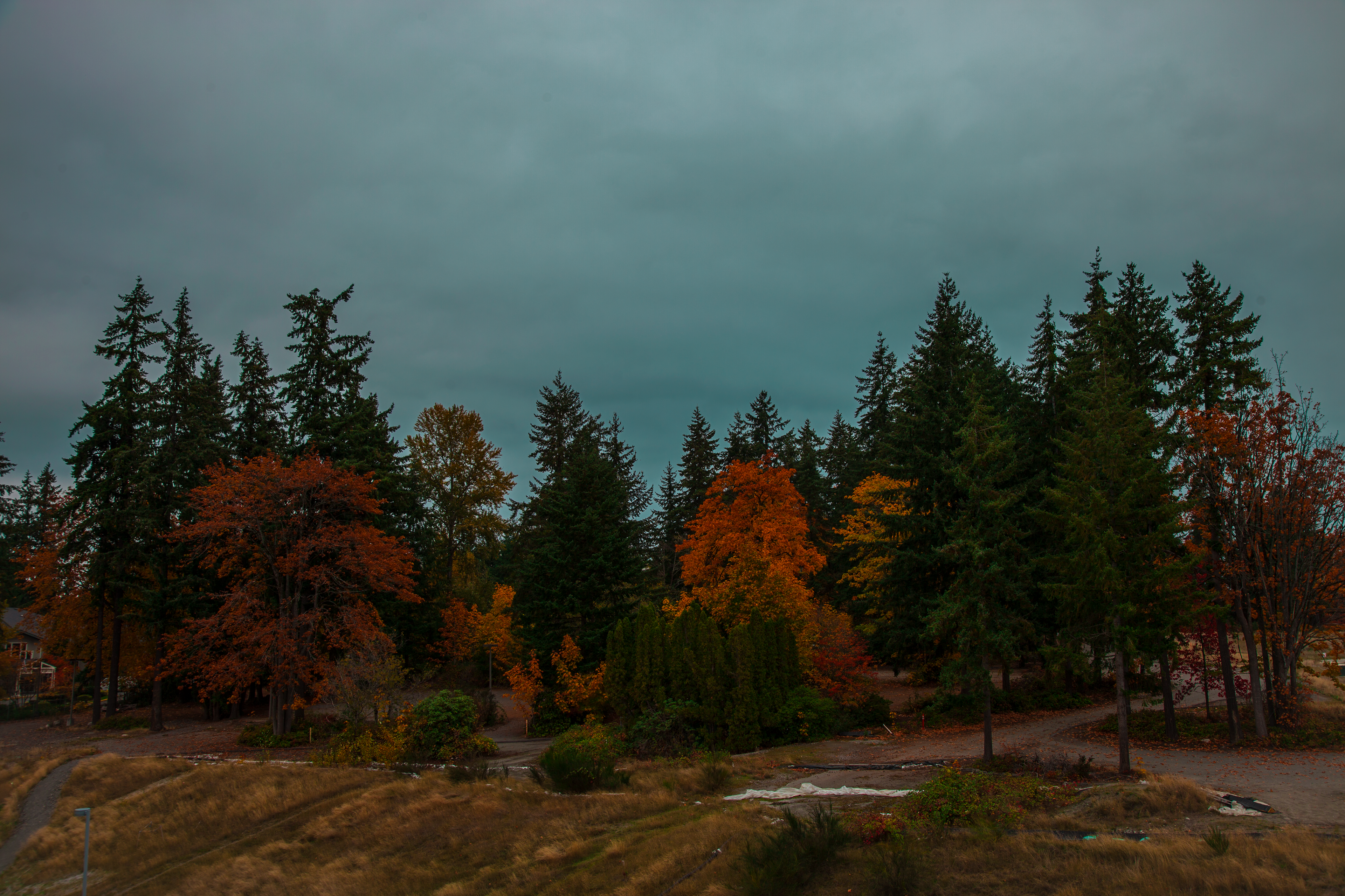 Redmond