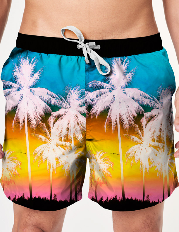 Electric Sunset - Stock elements, Manipulated & combined for unique design. Single panel print. Created in Photoshop.