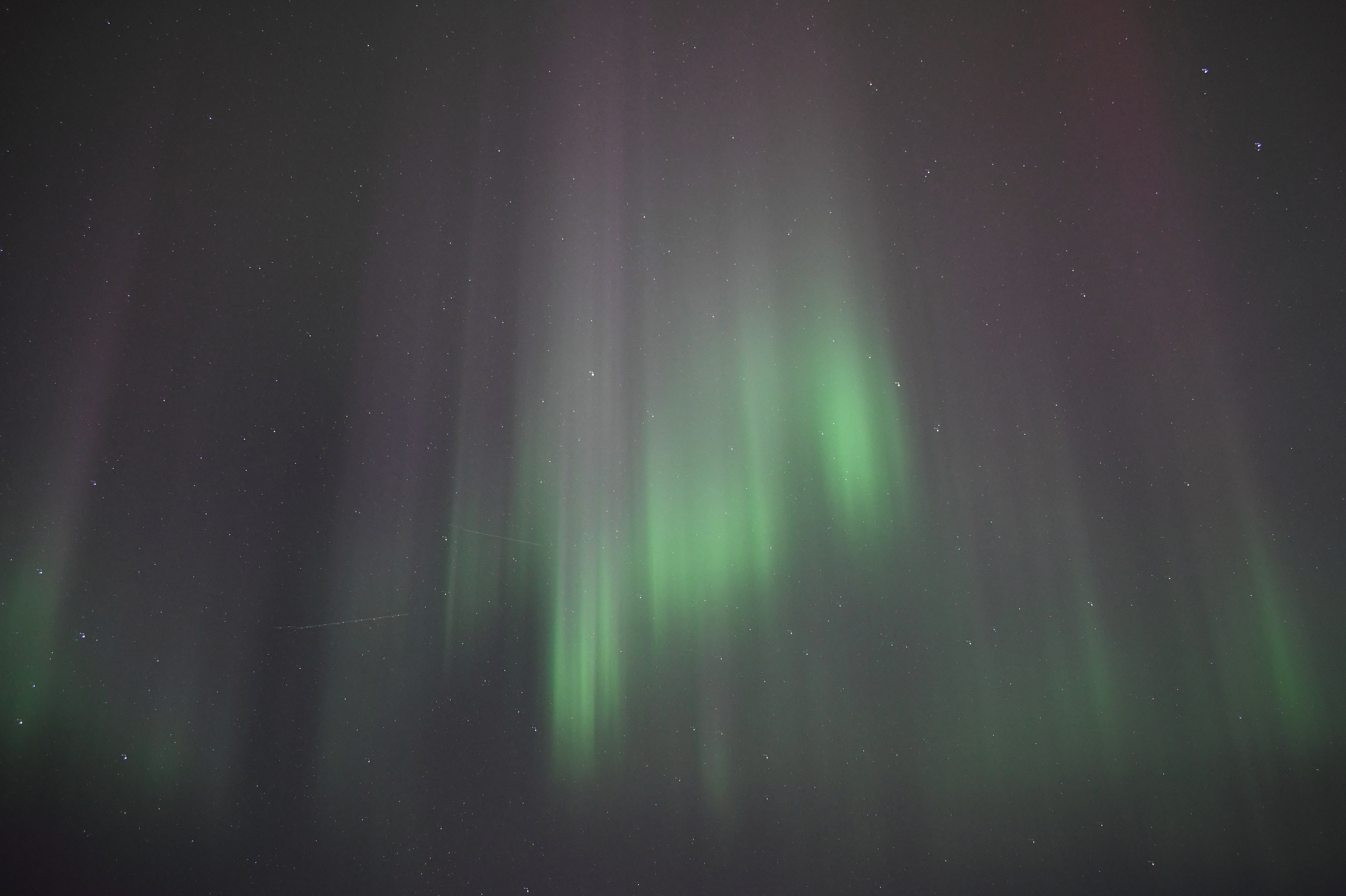 Aurora 31