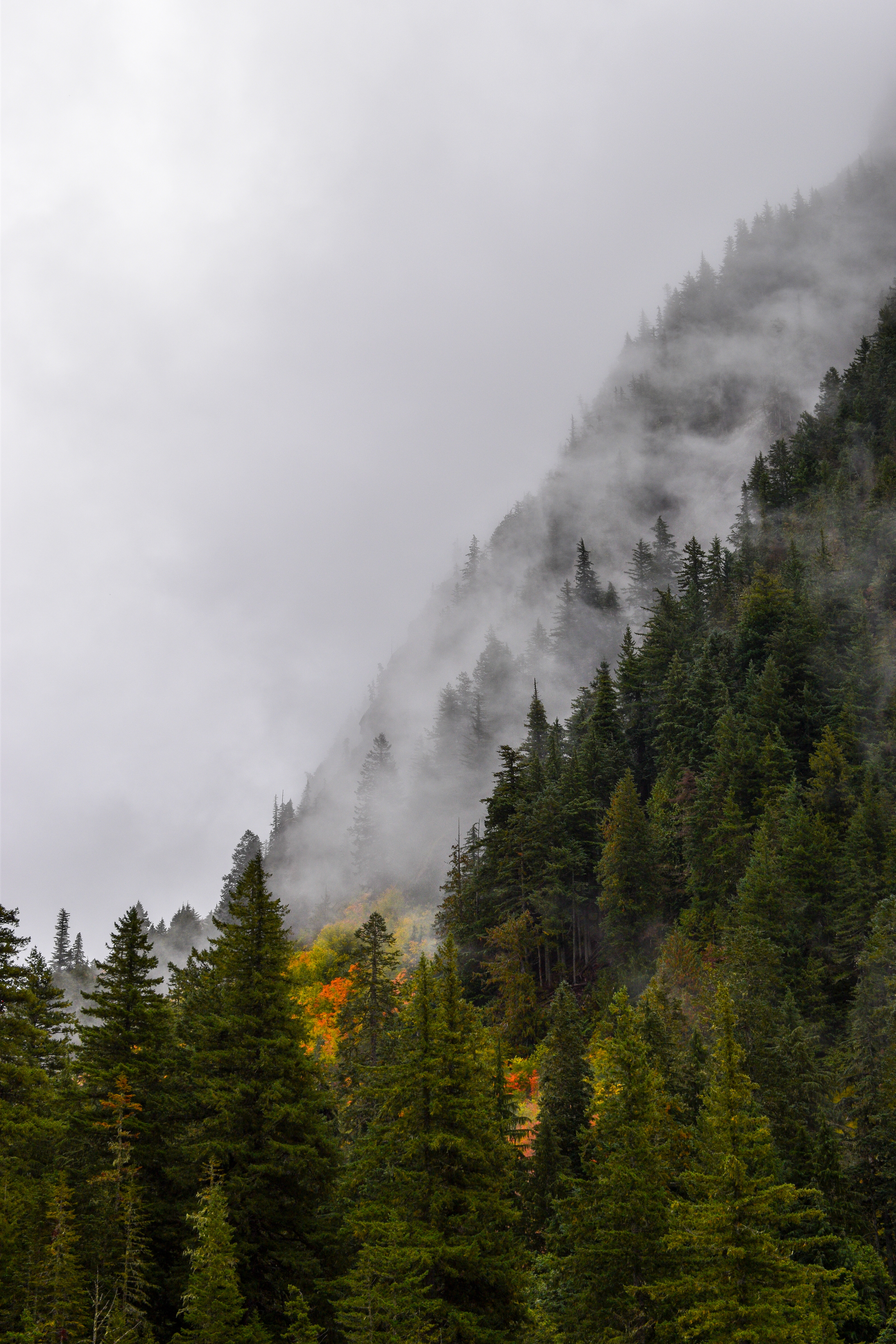 North Cascades 2