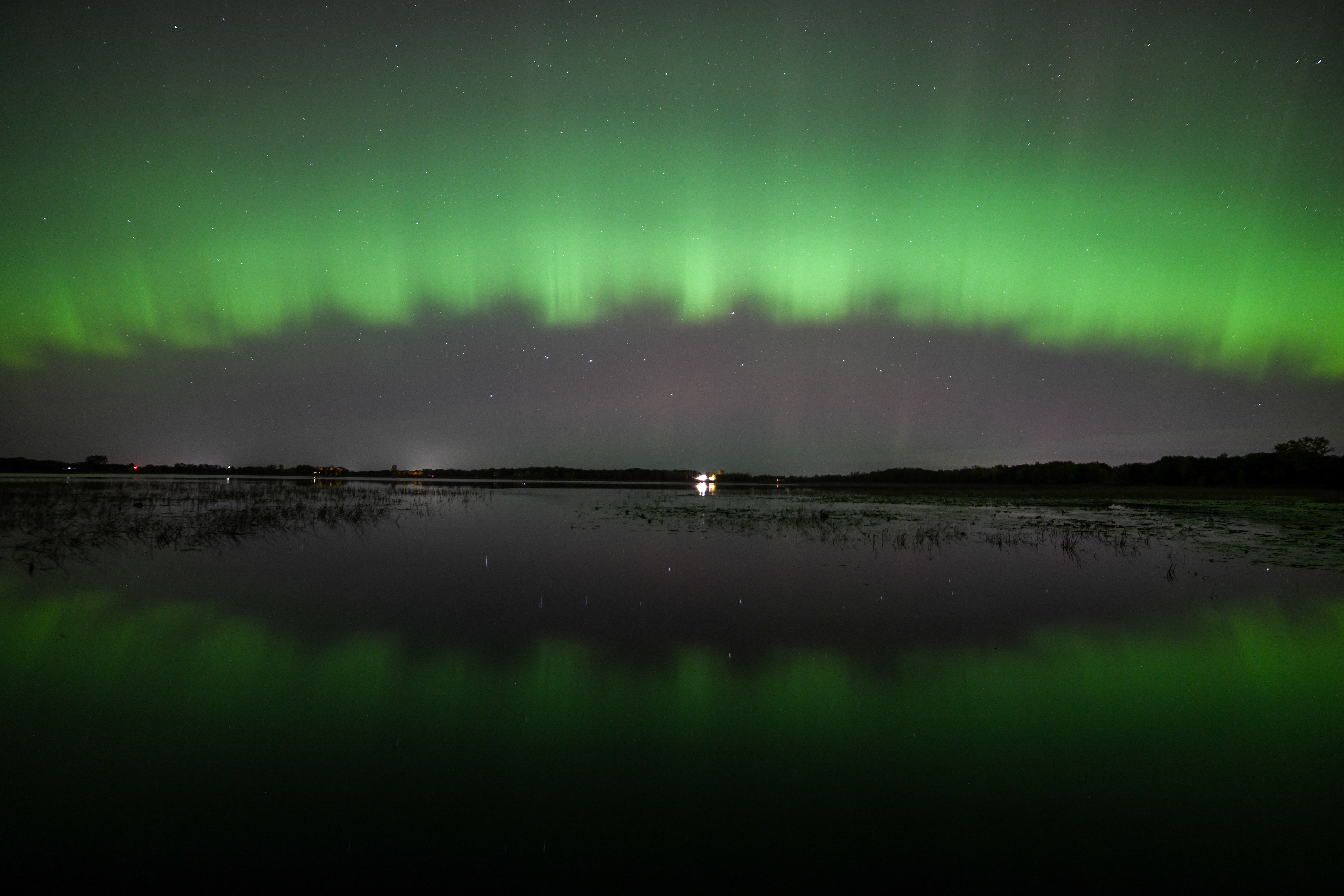 Aurora 41