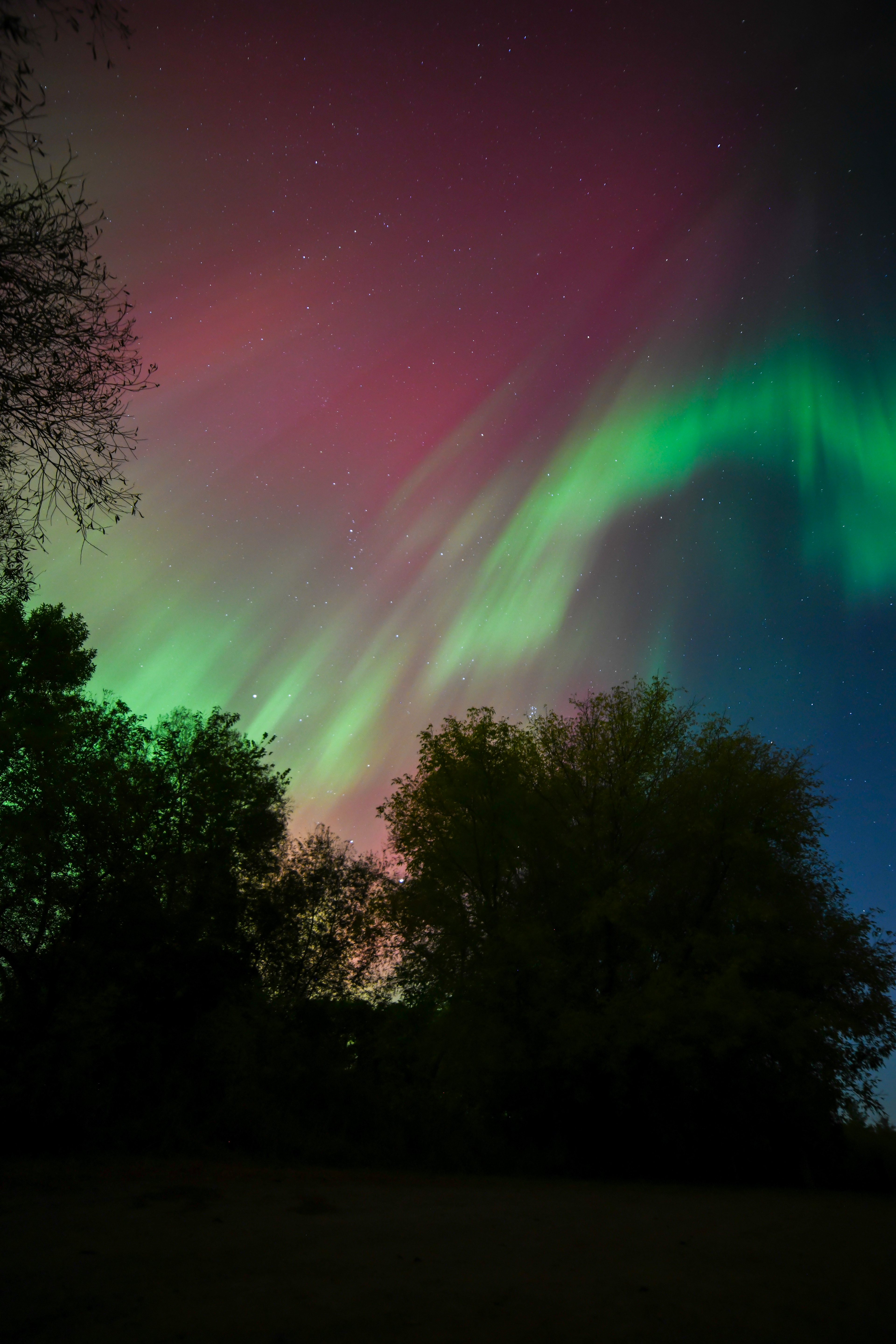 Aurora 42