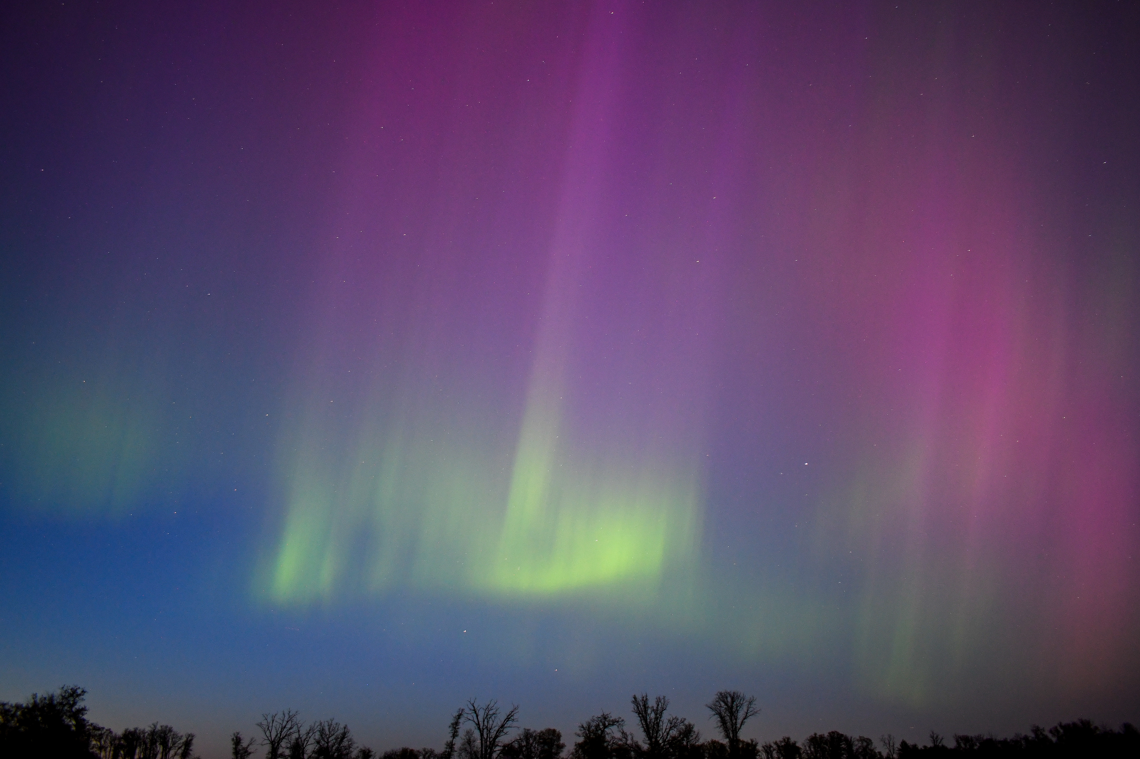 Aurora 4