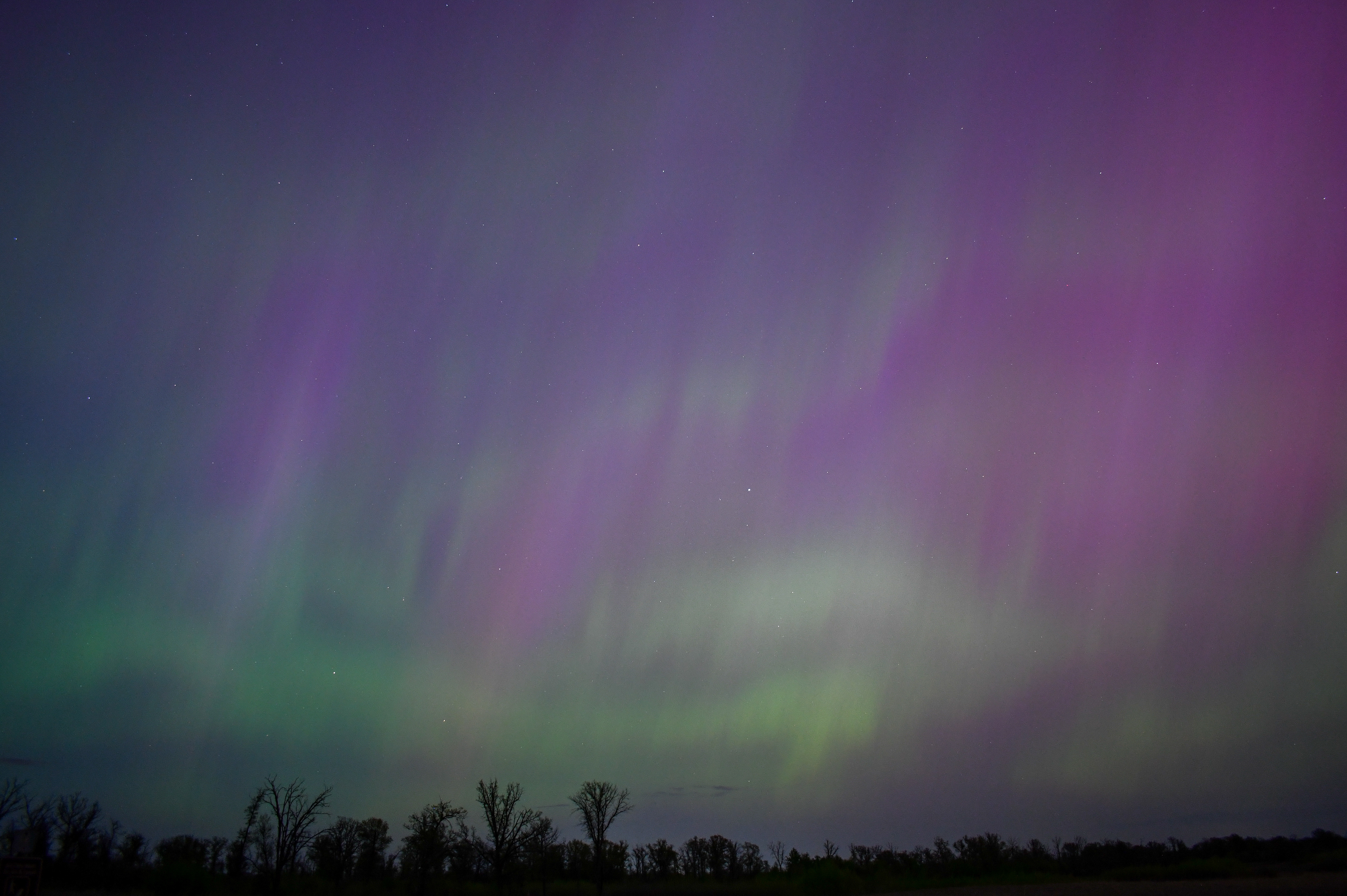 Aurora 23