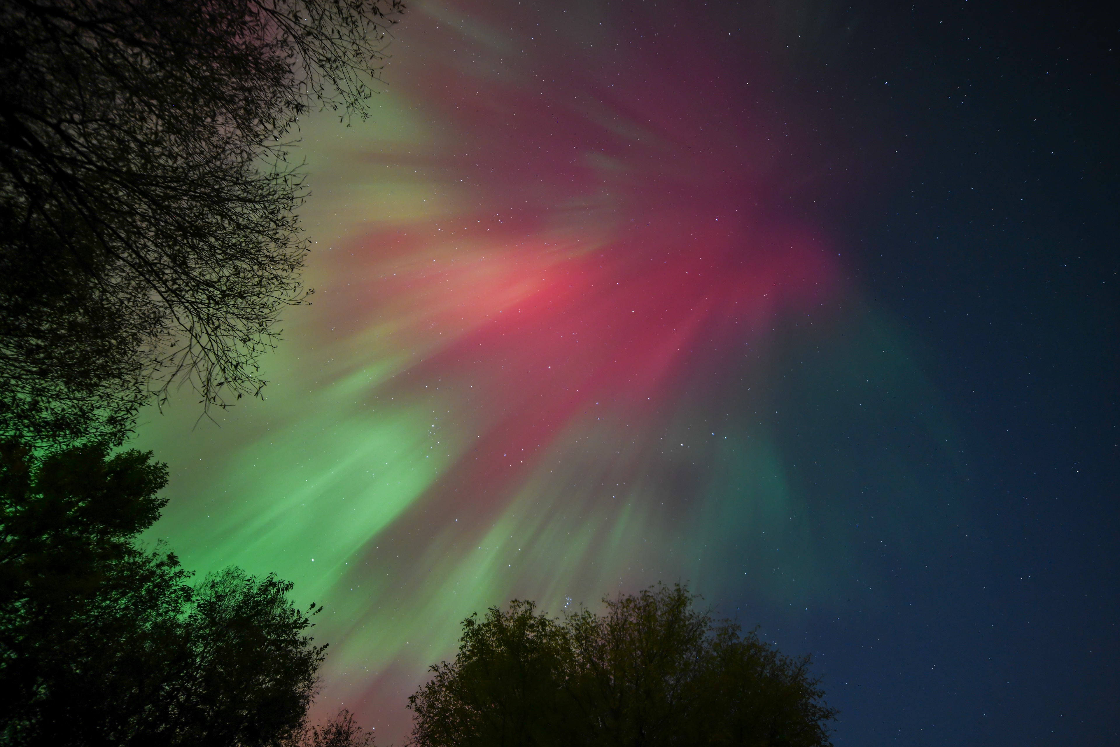 Aurora 47