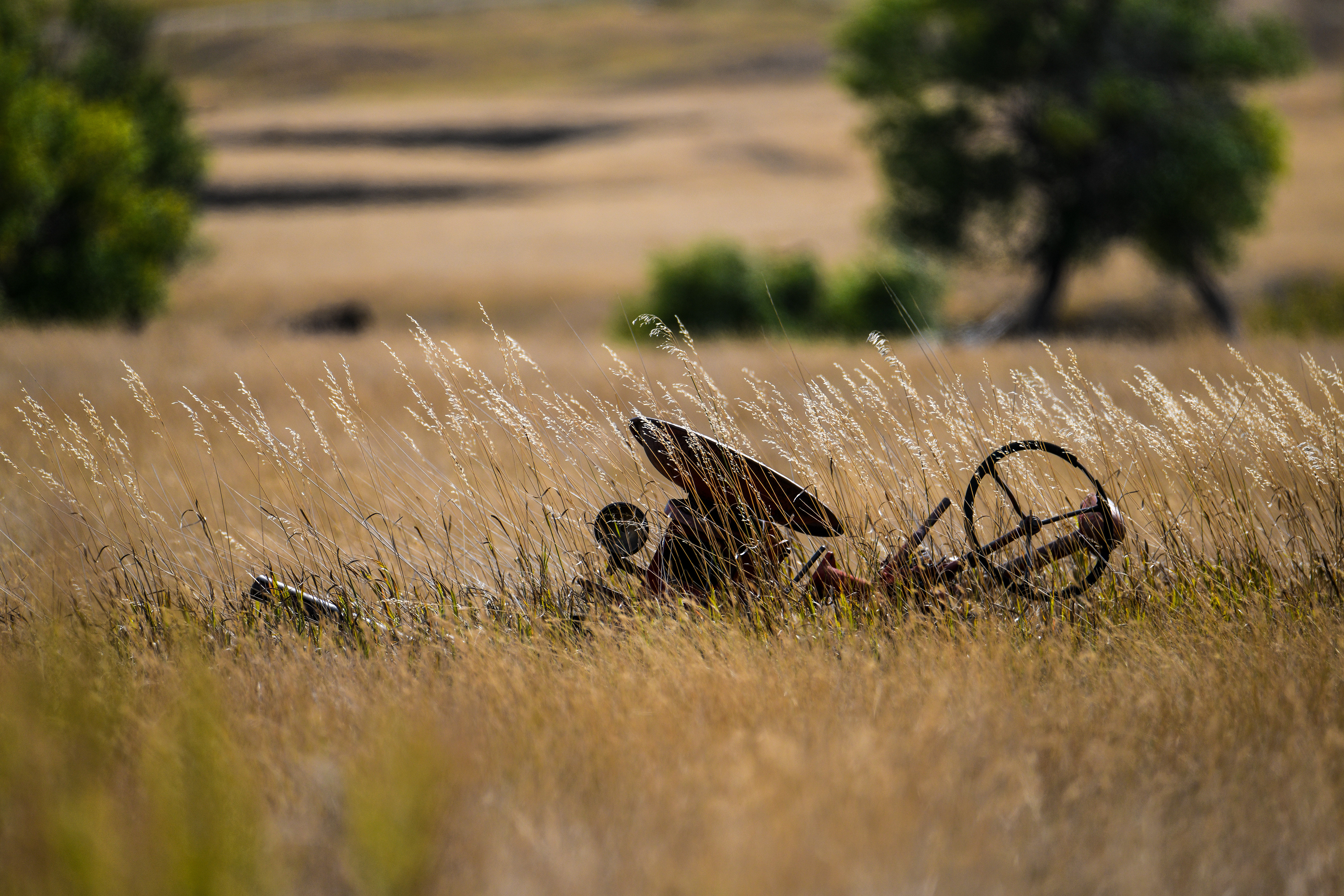 South Dakota 6