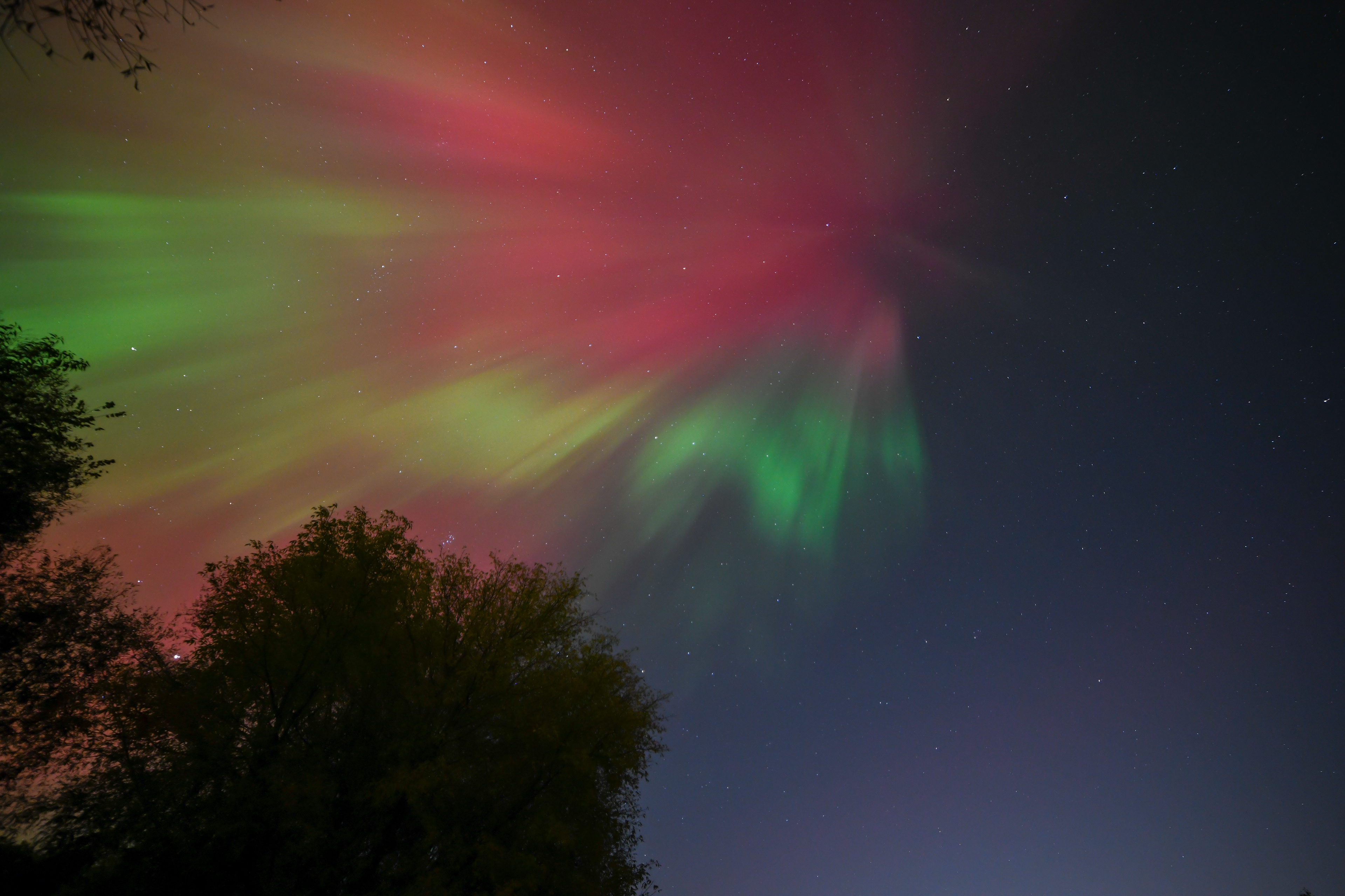 Aurora 45