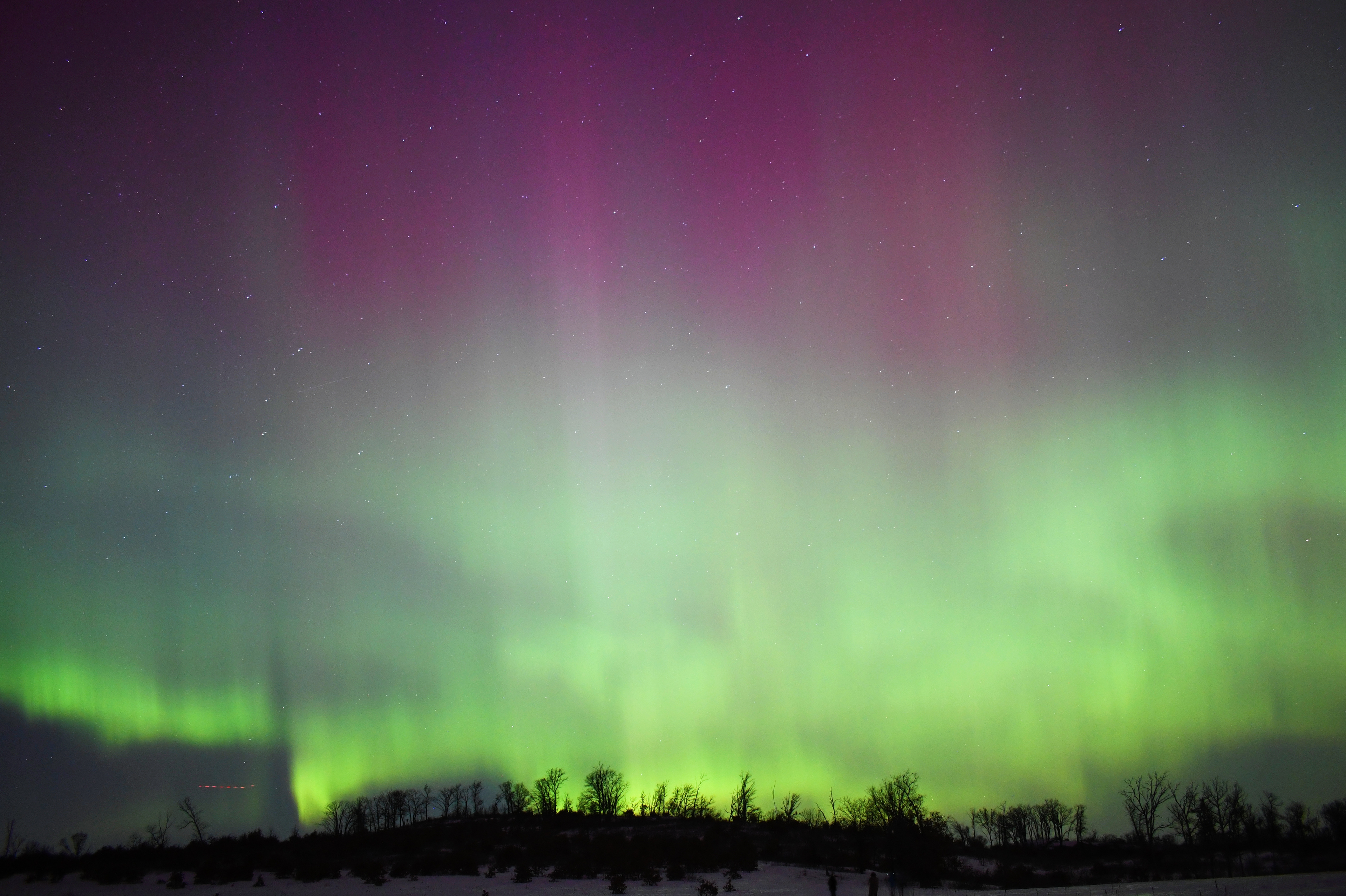 Aurora 37