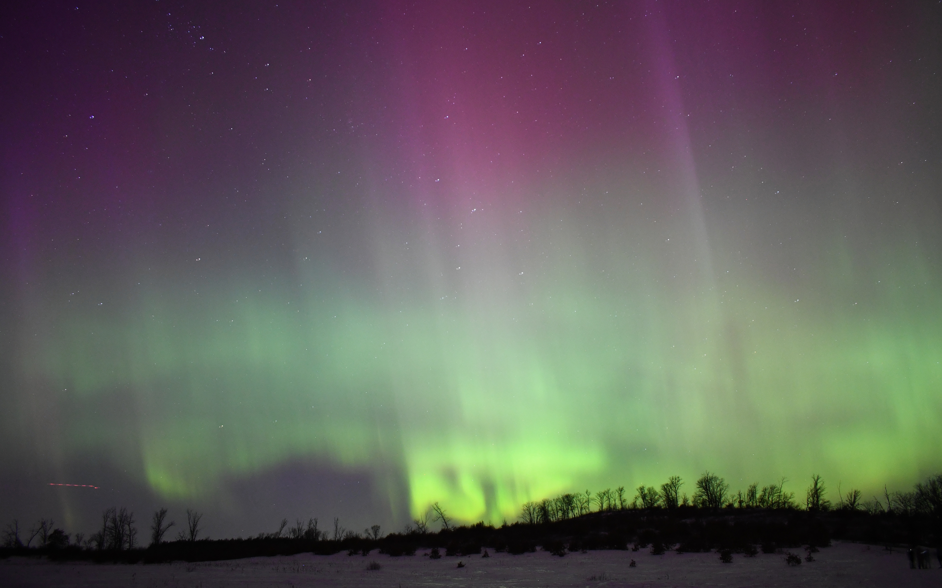 Aurora 39