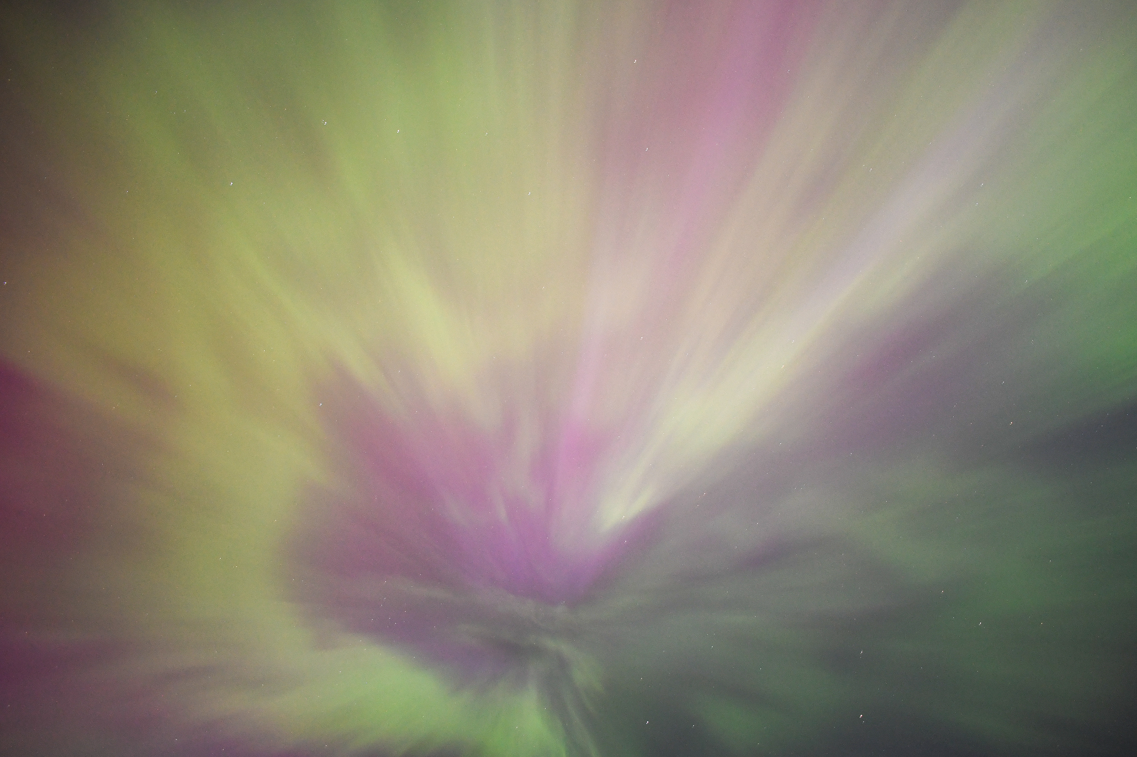 Aurora 12