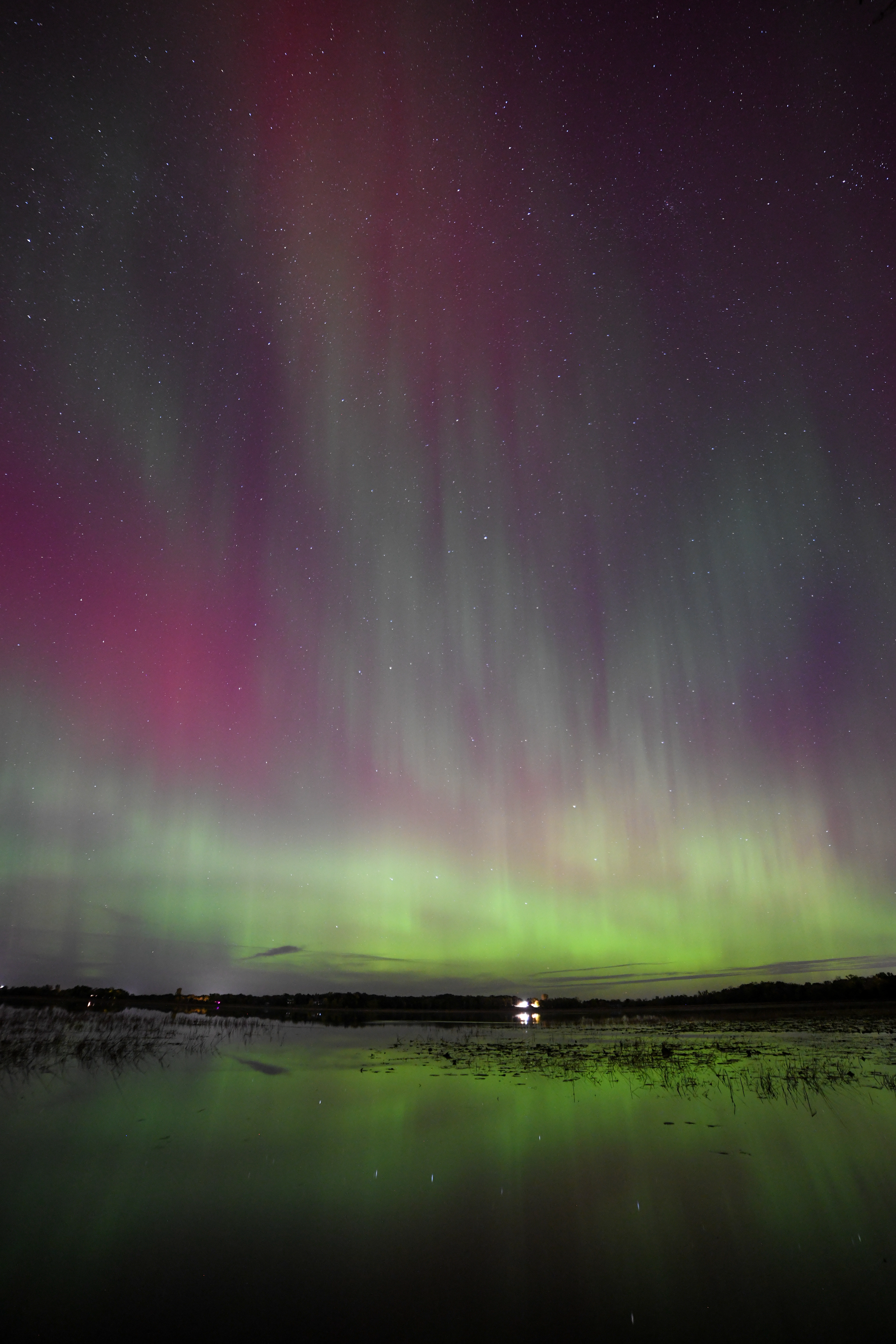 Aurora 65